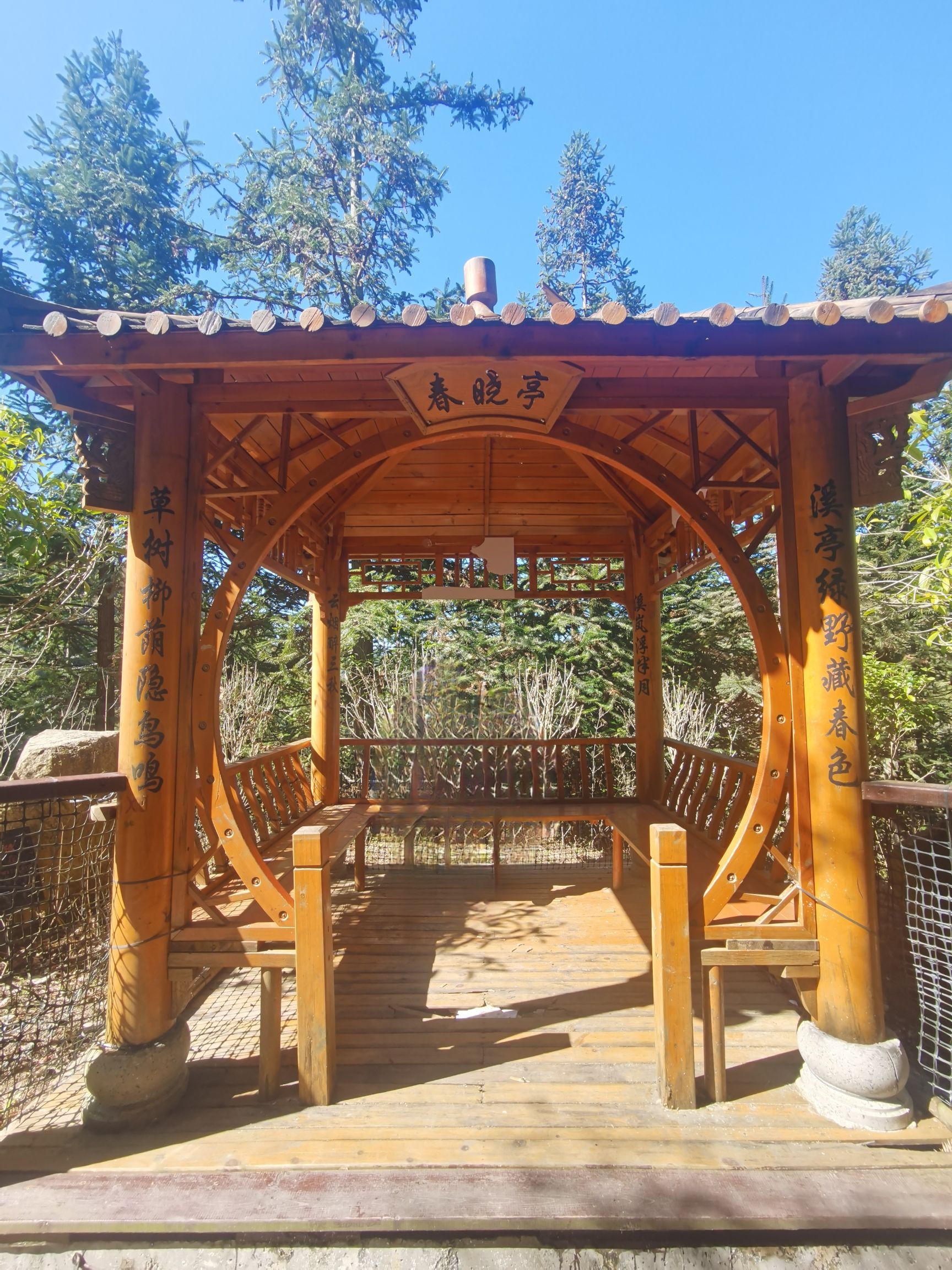 瑞光塔旅行图片 2