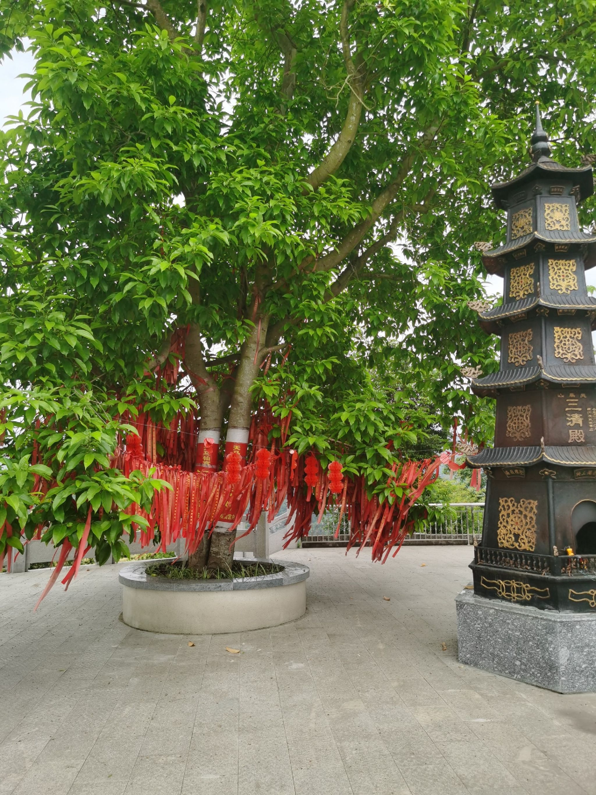 天马山风景区旅行图片 1
