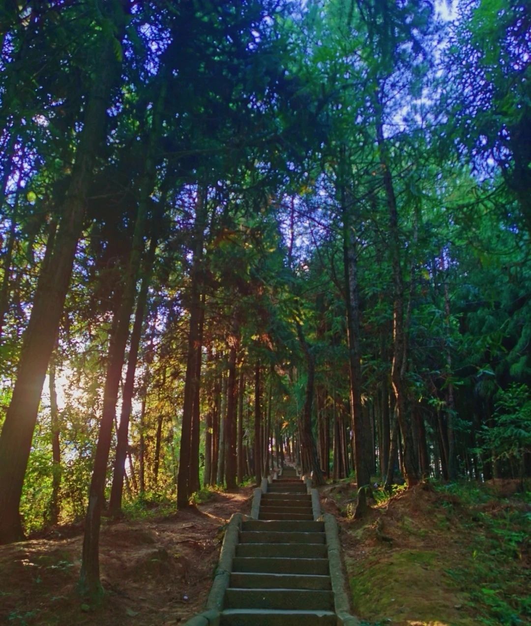 天马山风景区旅行图片 1