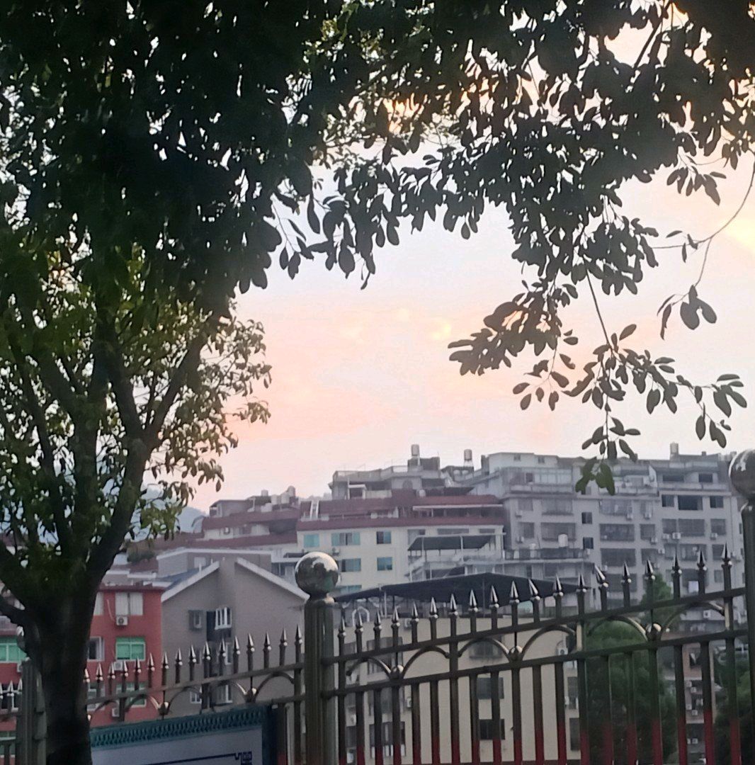 宁德市高级中学