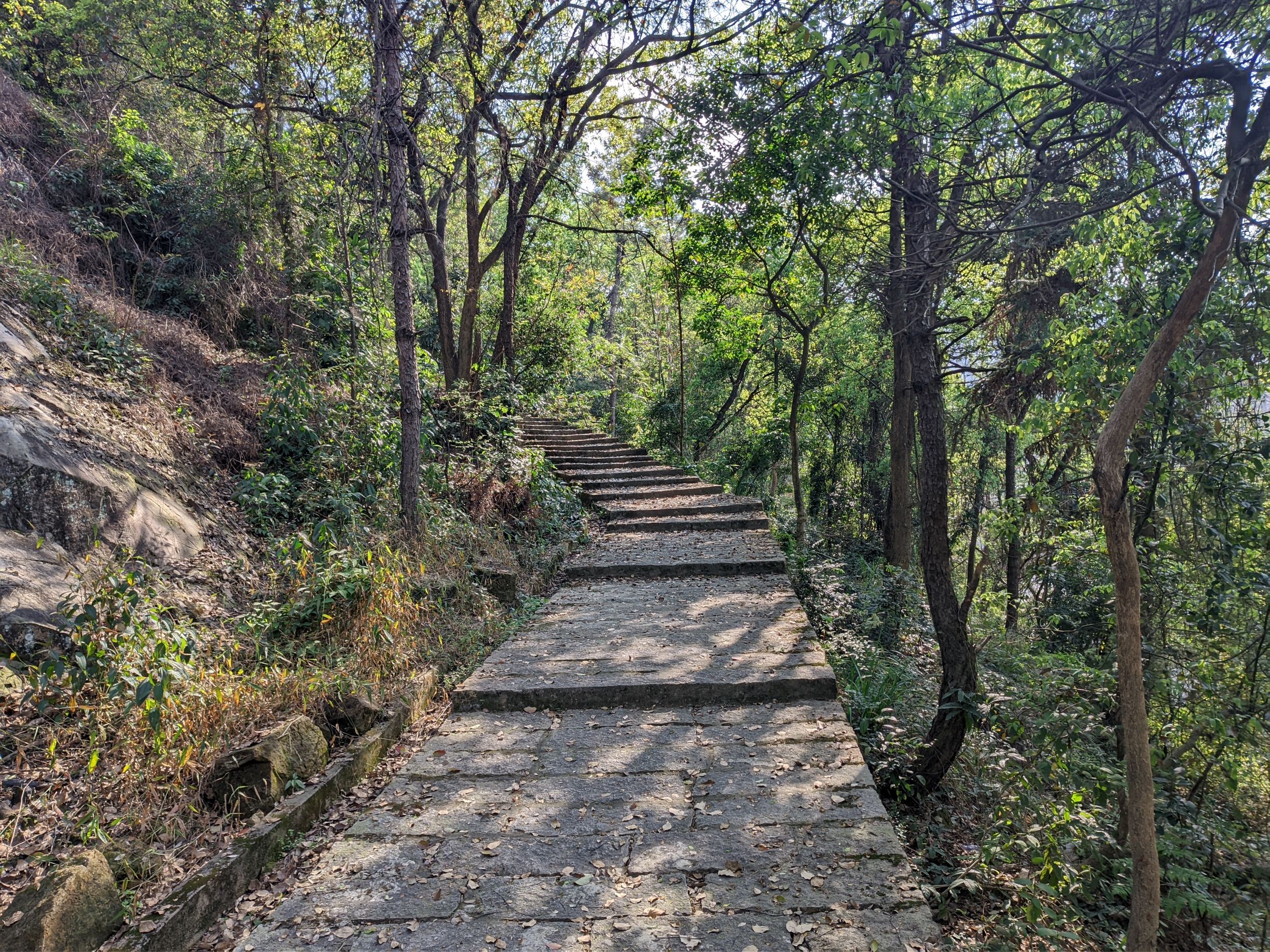 塔山公园旅行图片 2