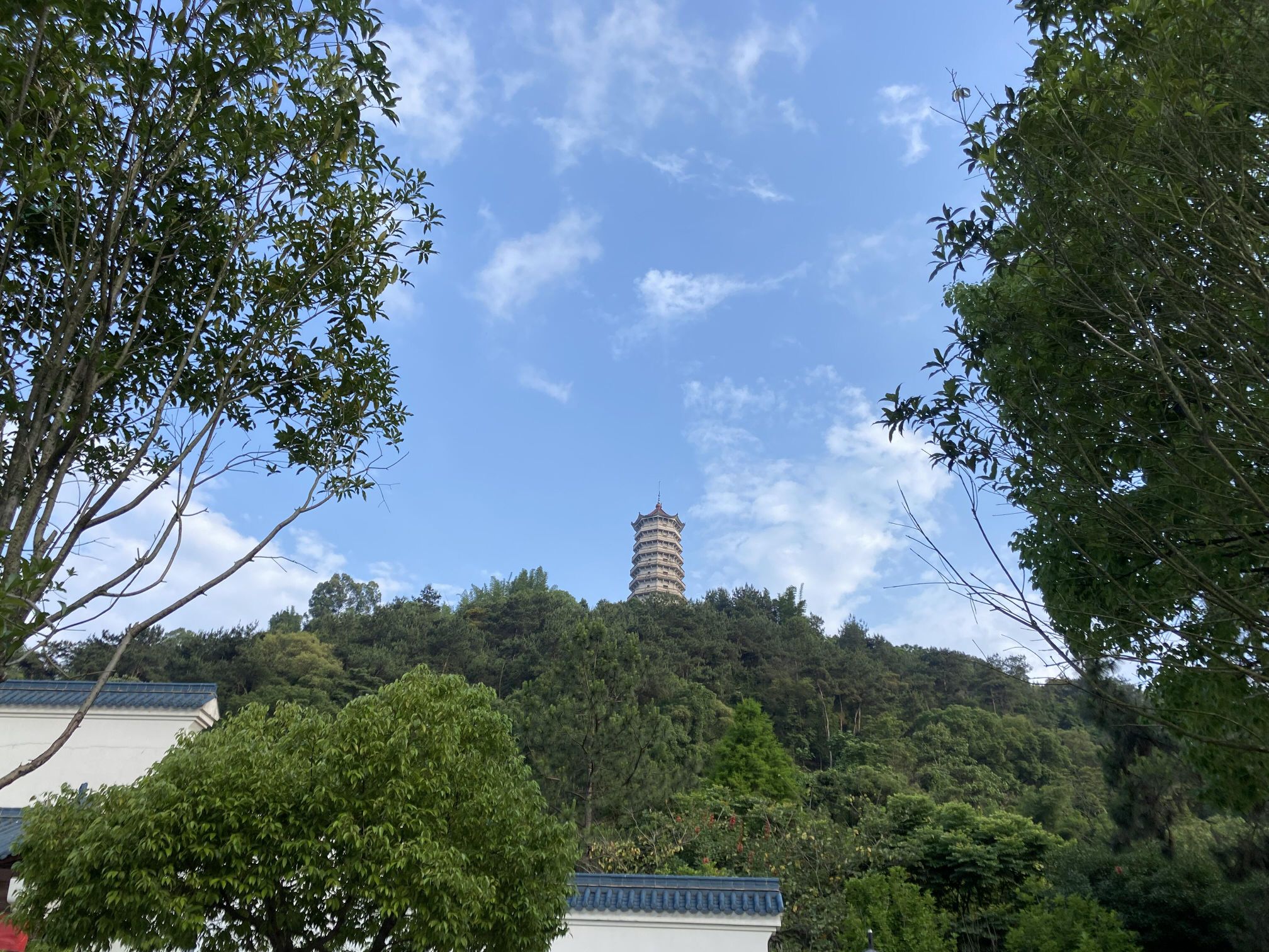 塔山公园旅行图片 1