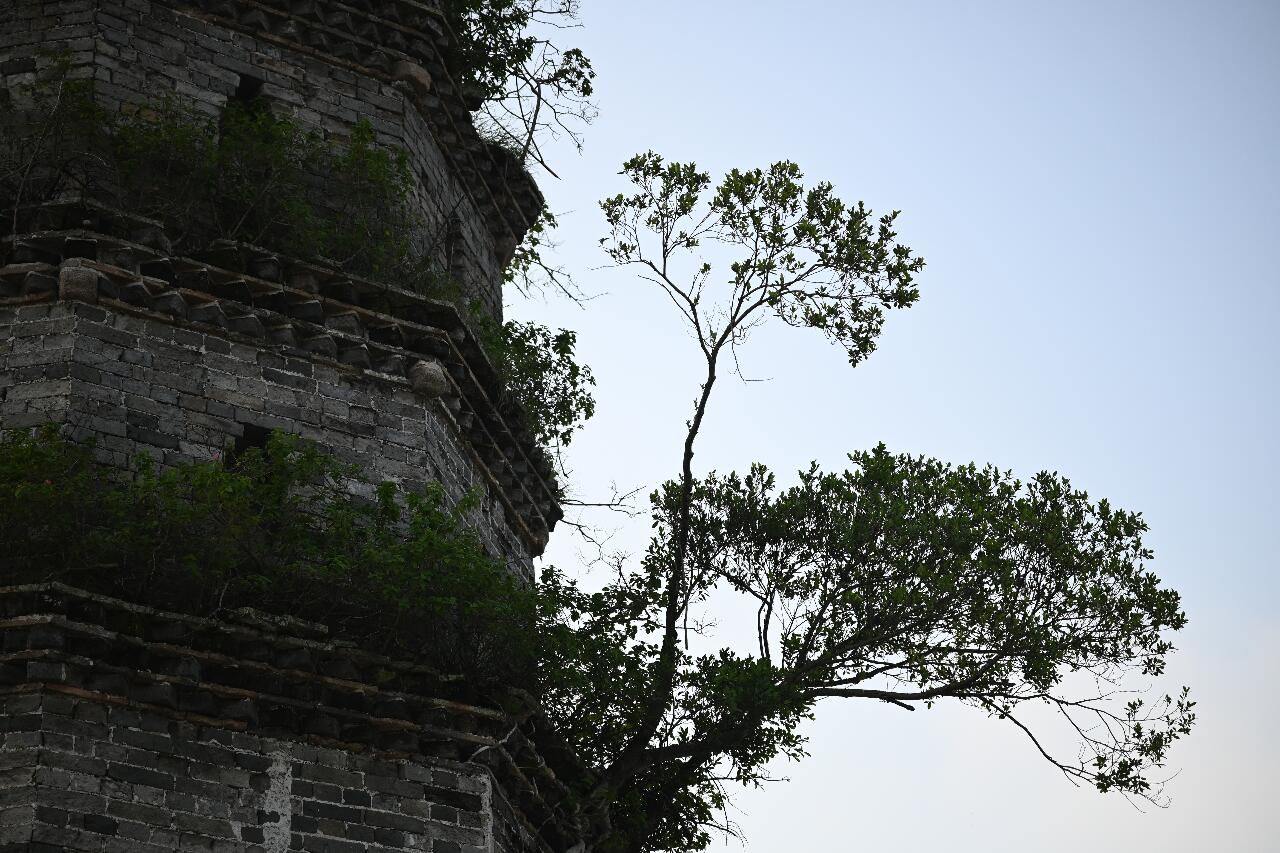 塔山公园旅行图片 3