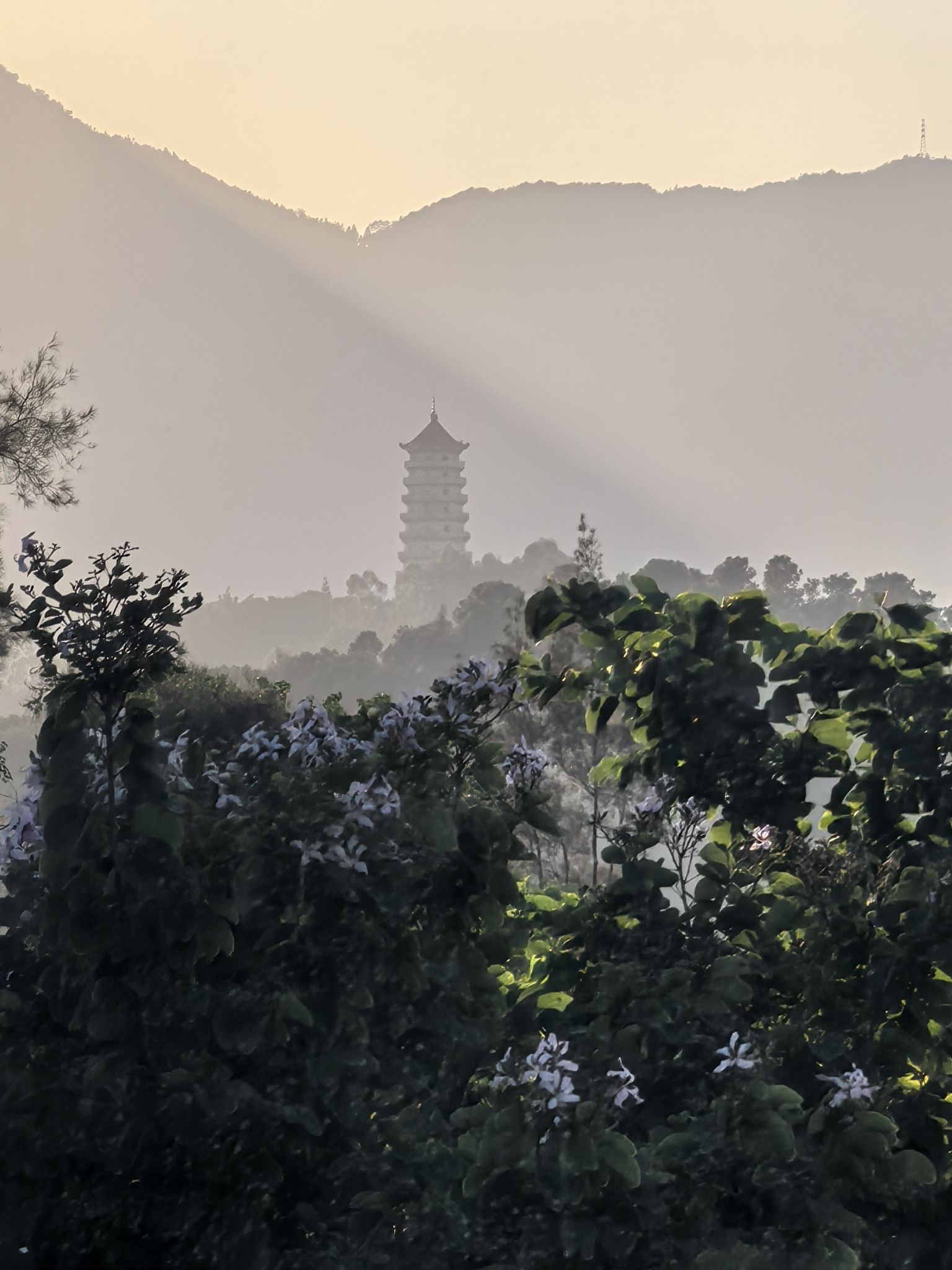 塔山公园旅行图片 1