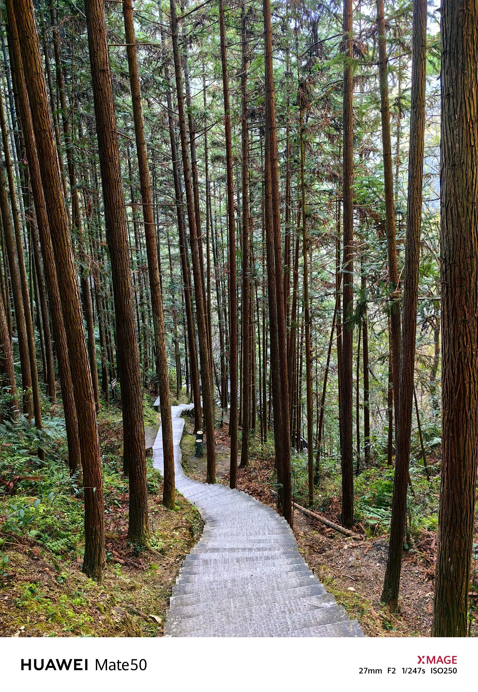 九龙漈旅行图片 2