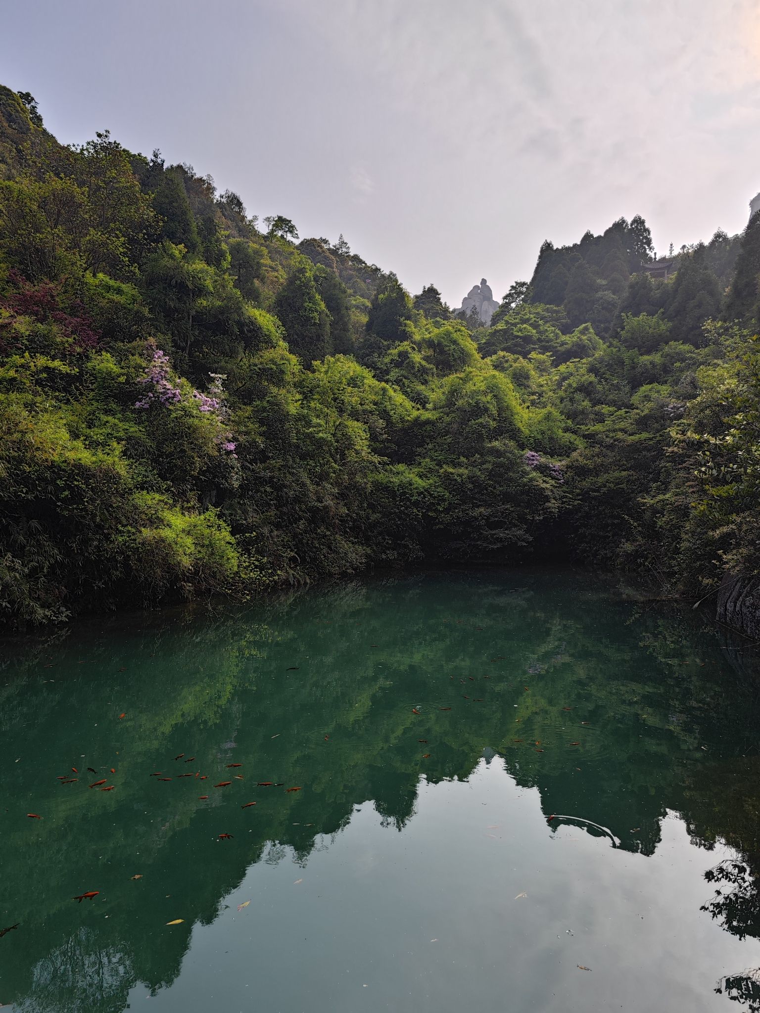 太姥山国家级风景名胜区旅行图片 3