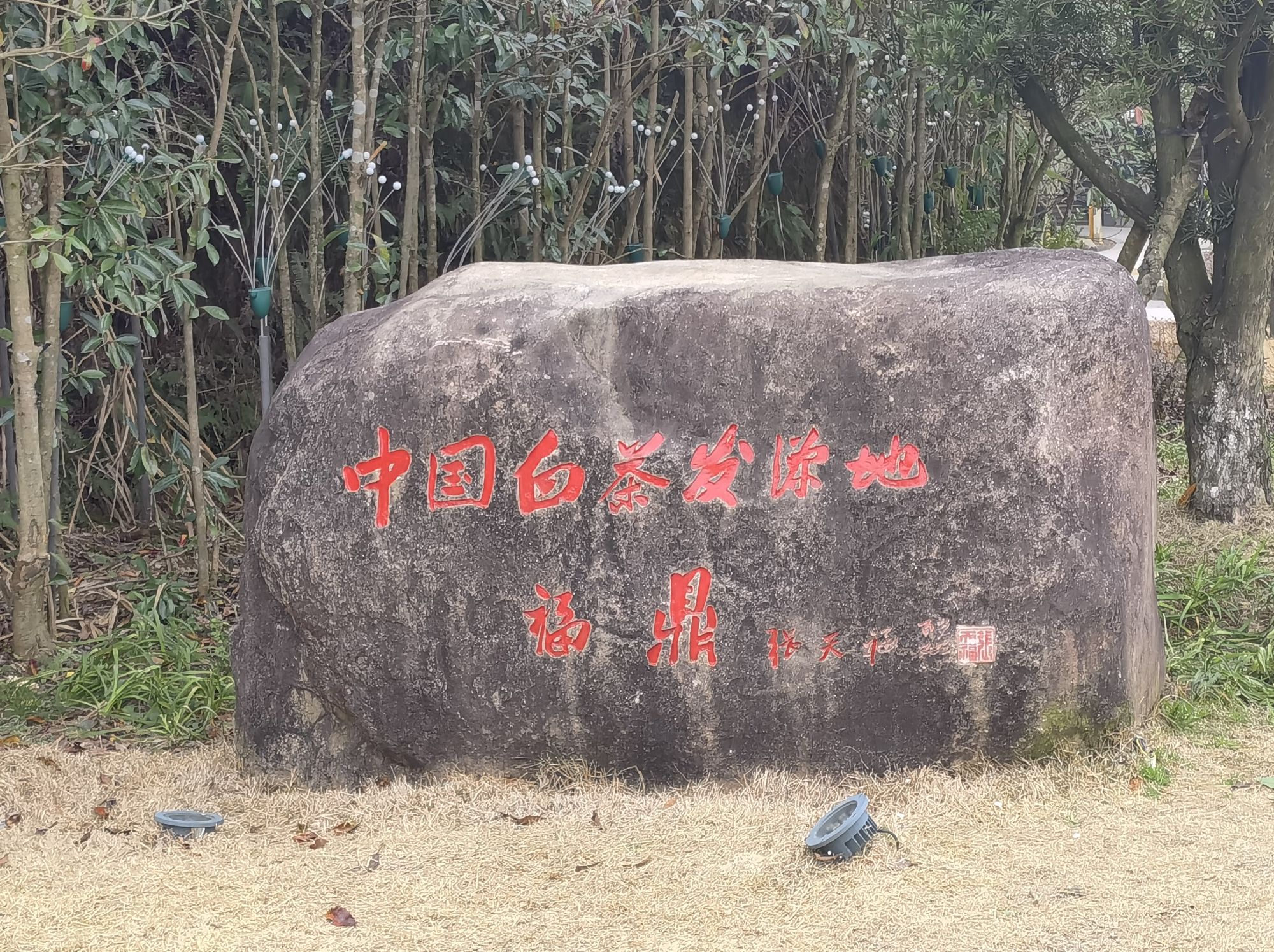 太姥山国家级风景名胜区旅行图片 3
