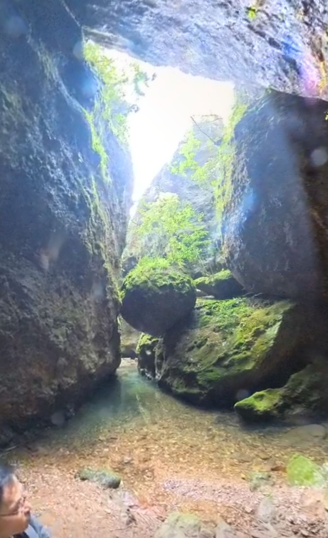 蝙蝠洞旅行图片 2