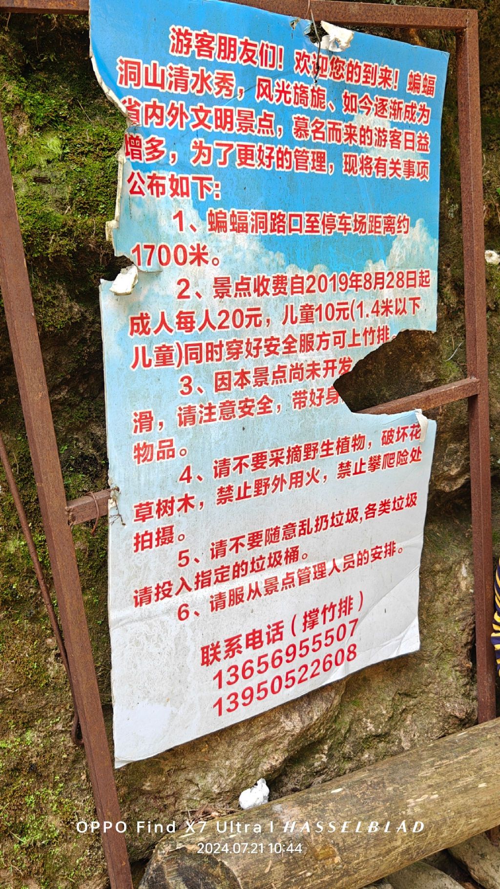 蝙蝠洞旅行图片 1