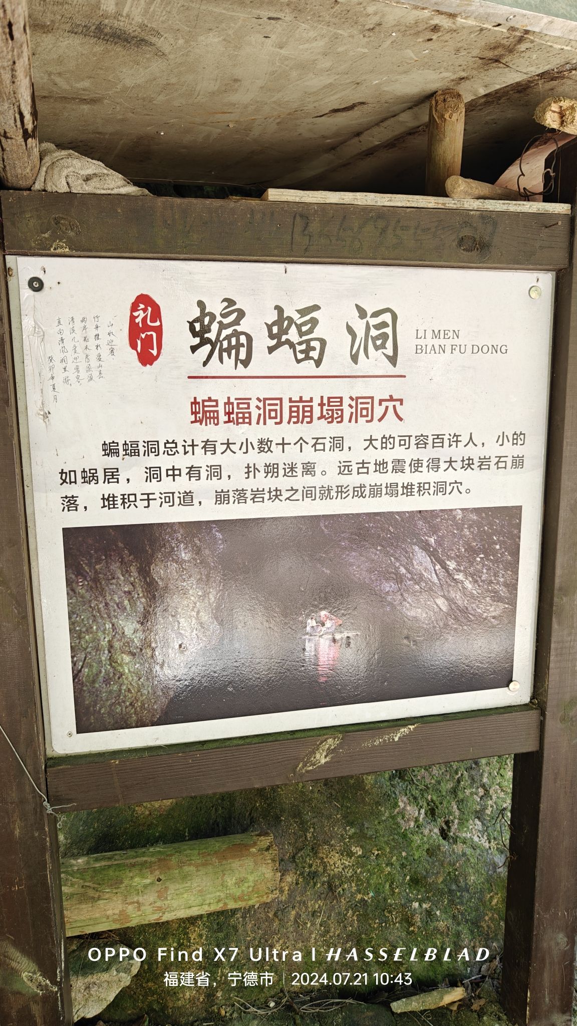 蝙蝠洞旅行图片 2