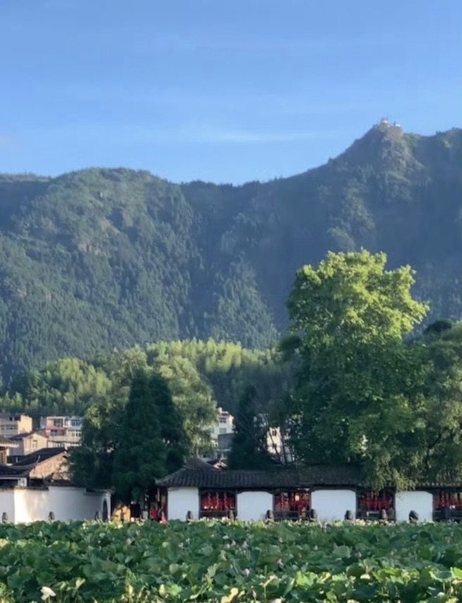 鲤鱼溪公园旅行图片 2