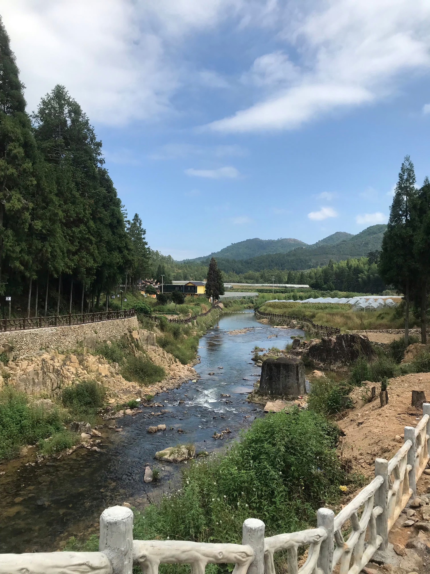 鲤鱼溪公园旅行图片 1
