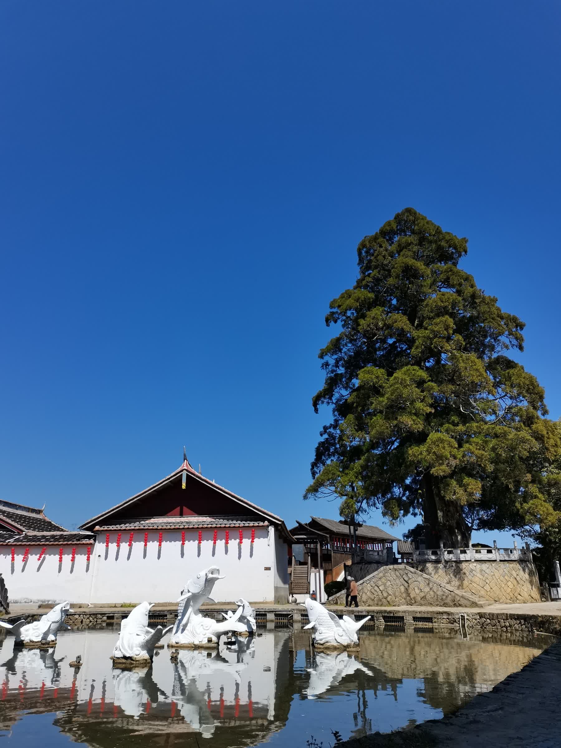 鲤鱼溪公园旅行图片 2