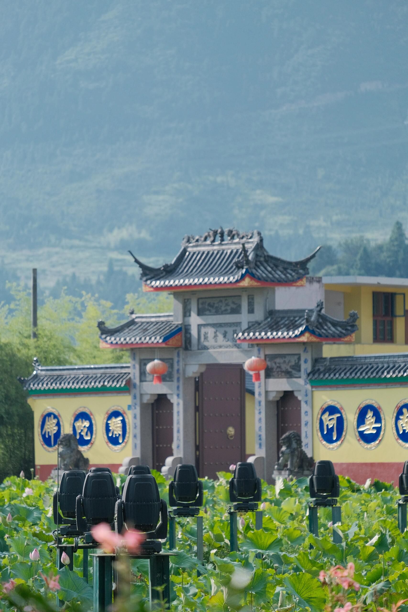 鲤鱼溪公园旅行图片 2