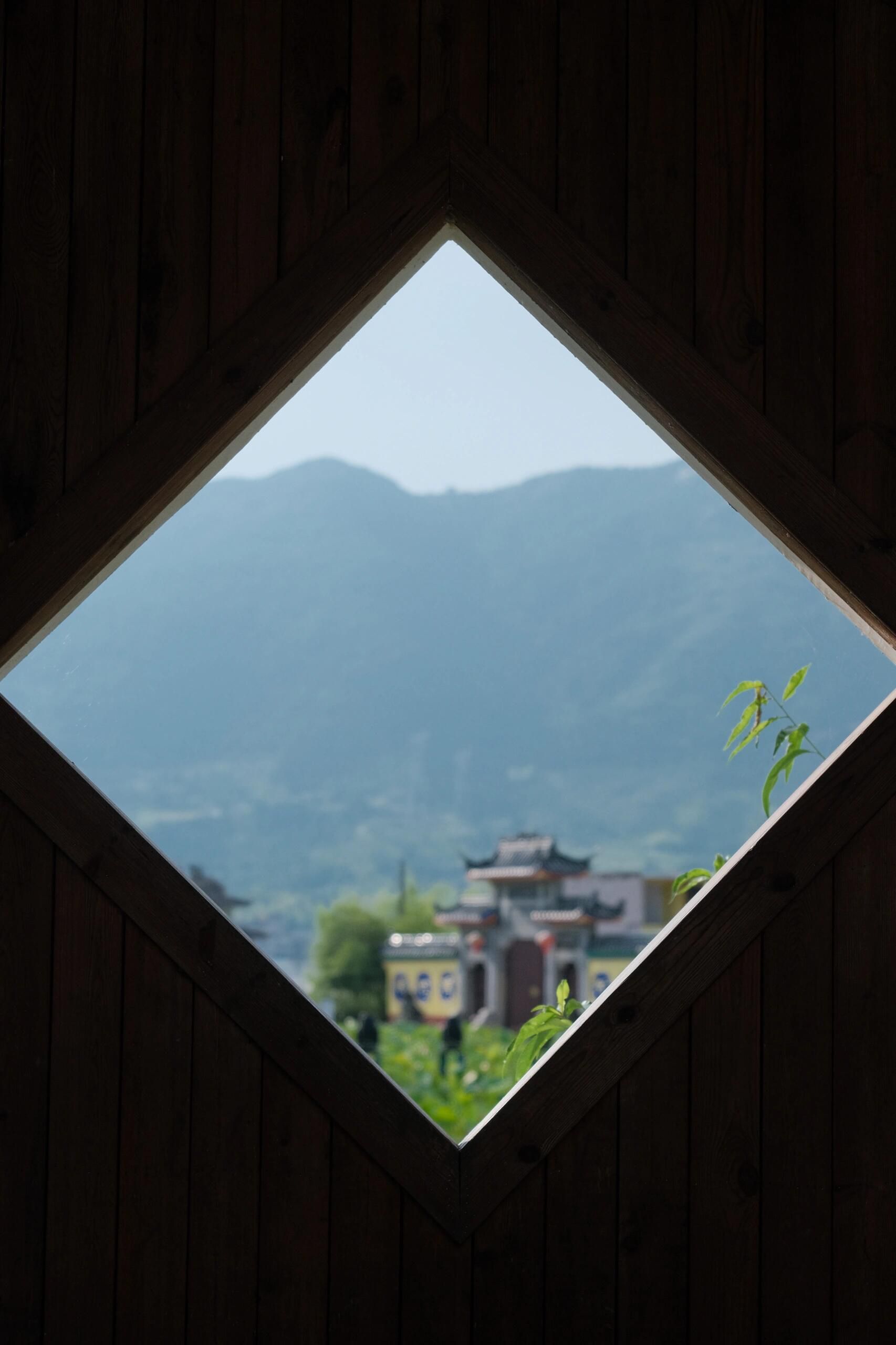 鲤鱼溪公园旅行图片 1