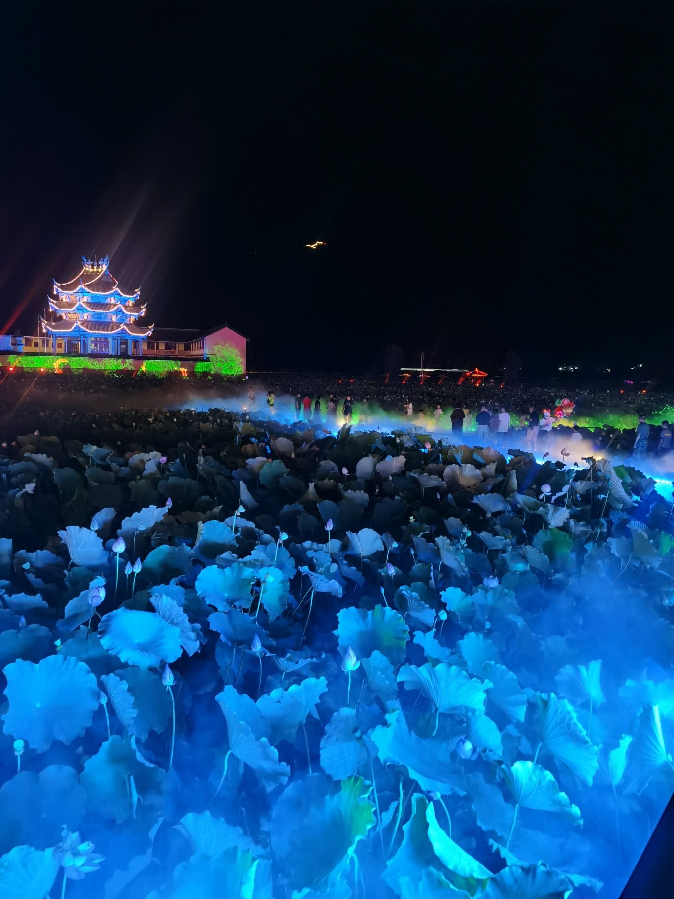 鲤鱼溪公园旅行图片 2