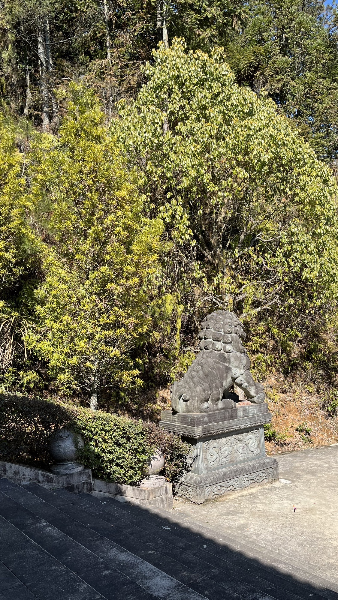 周宁县塔旅行图片 3