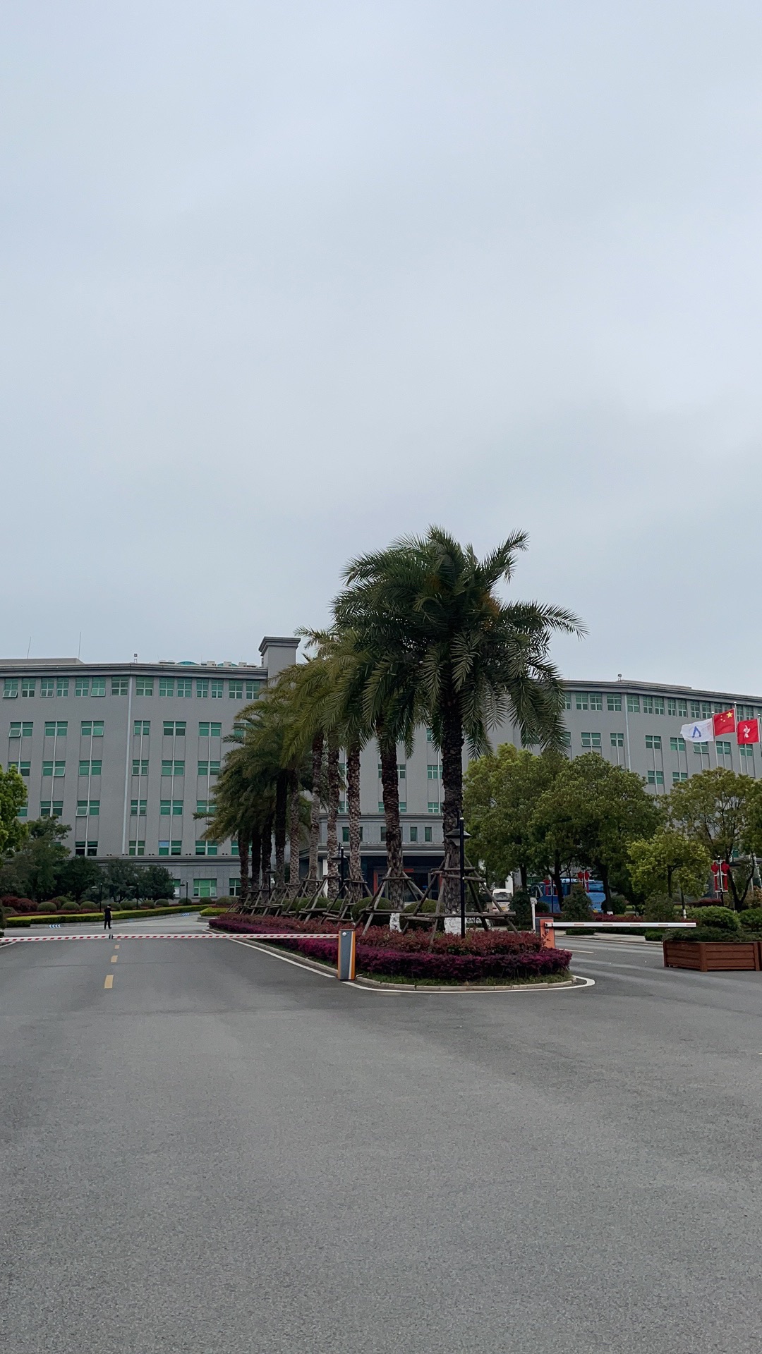 宁德新能源科技工业园