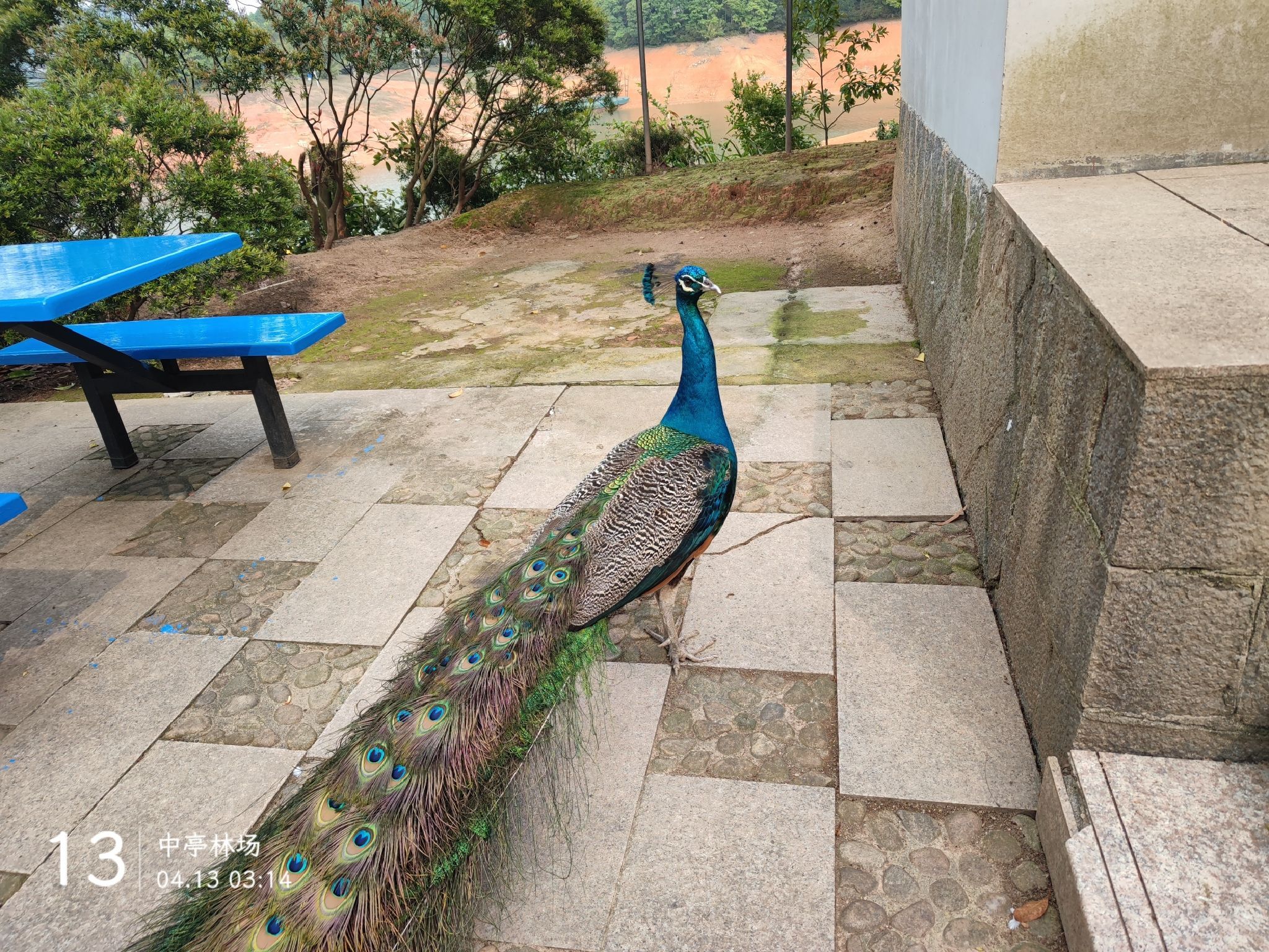 宁德市古田县翠屏湖景区旅行图片 1