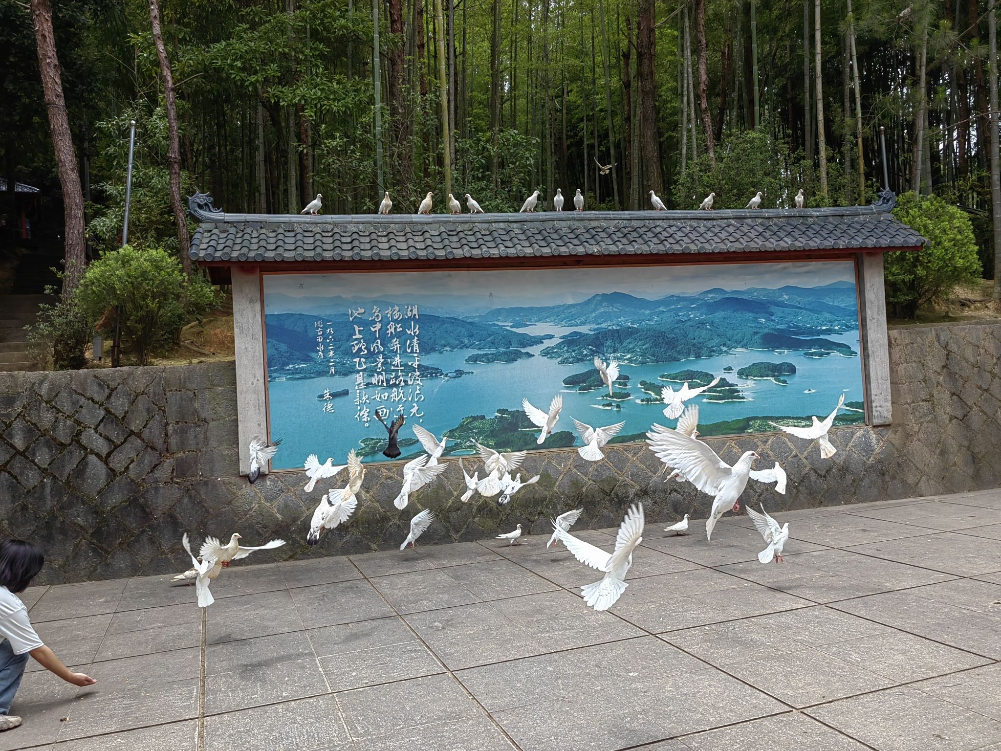 宁德市古田县翠屏湖景区旅行图片 1