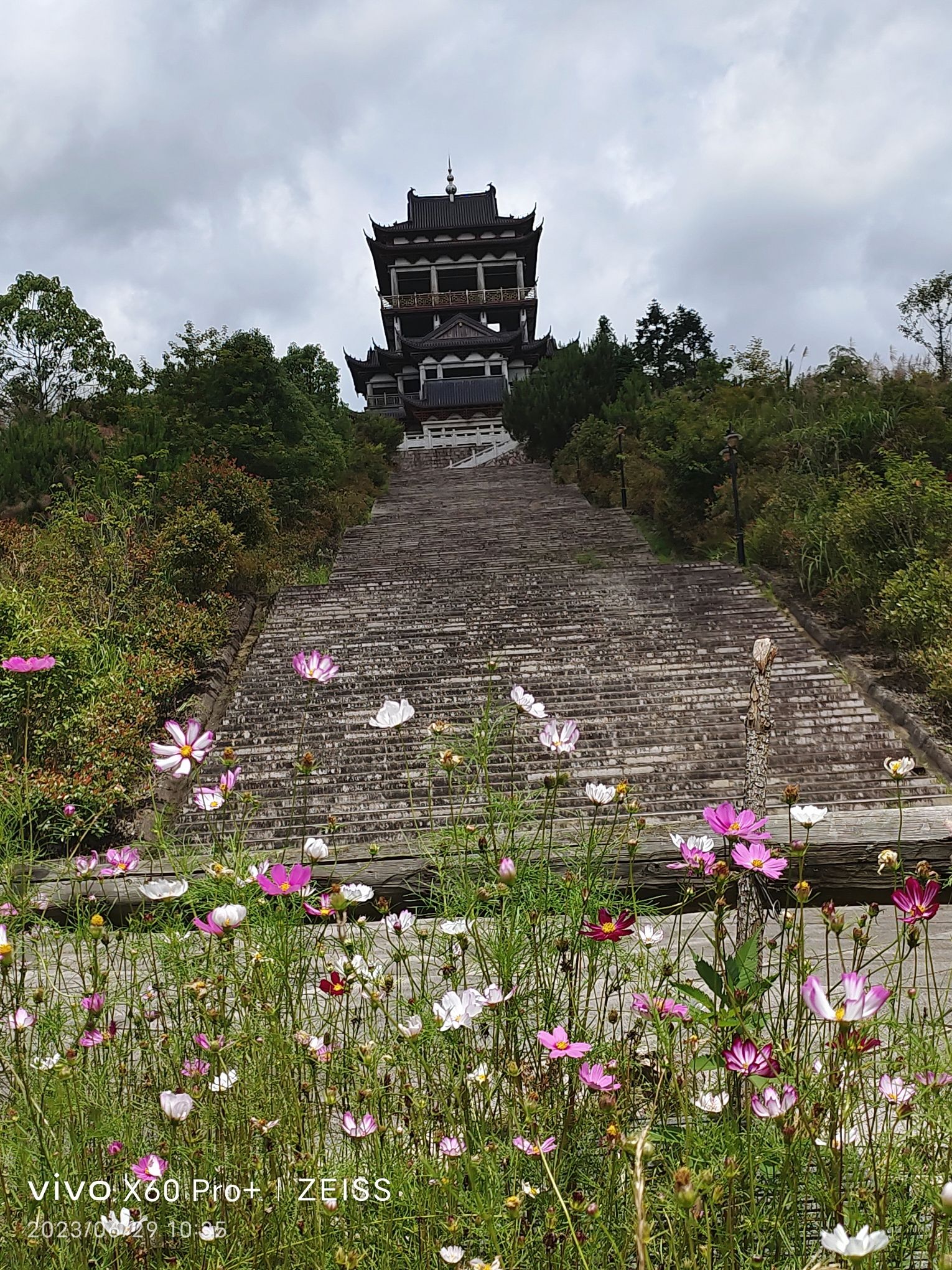 周宁陈峭景区旅行图片 3