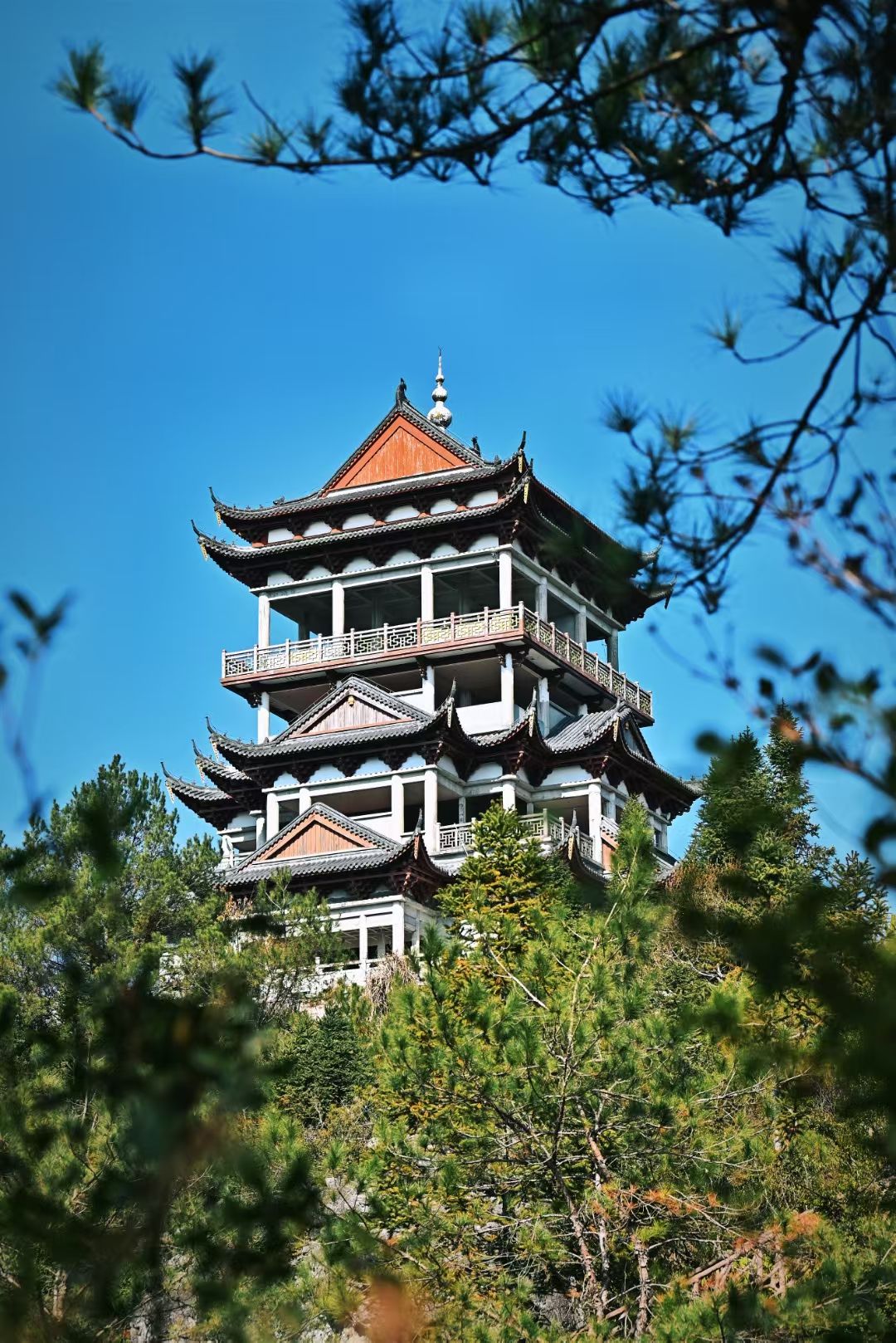 周宁陈峭景区旅行图片 2