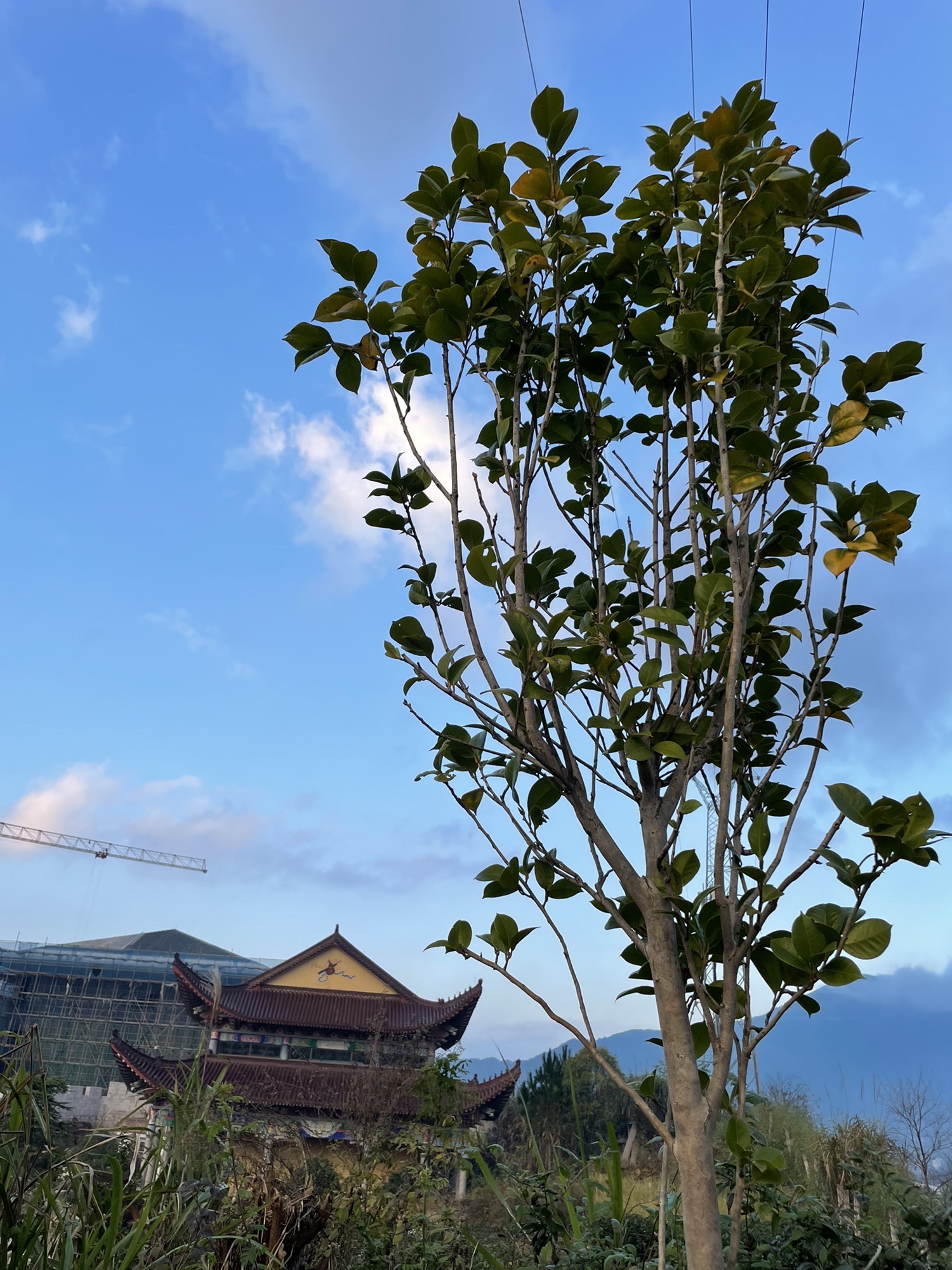东狮山风景区旅行图片 1