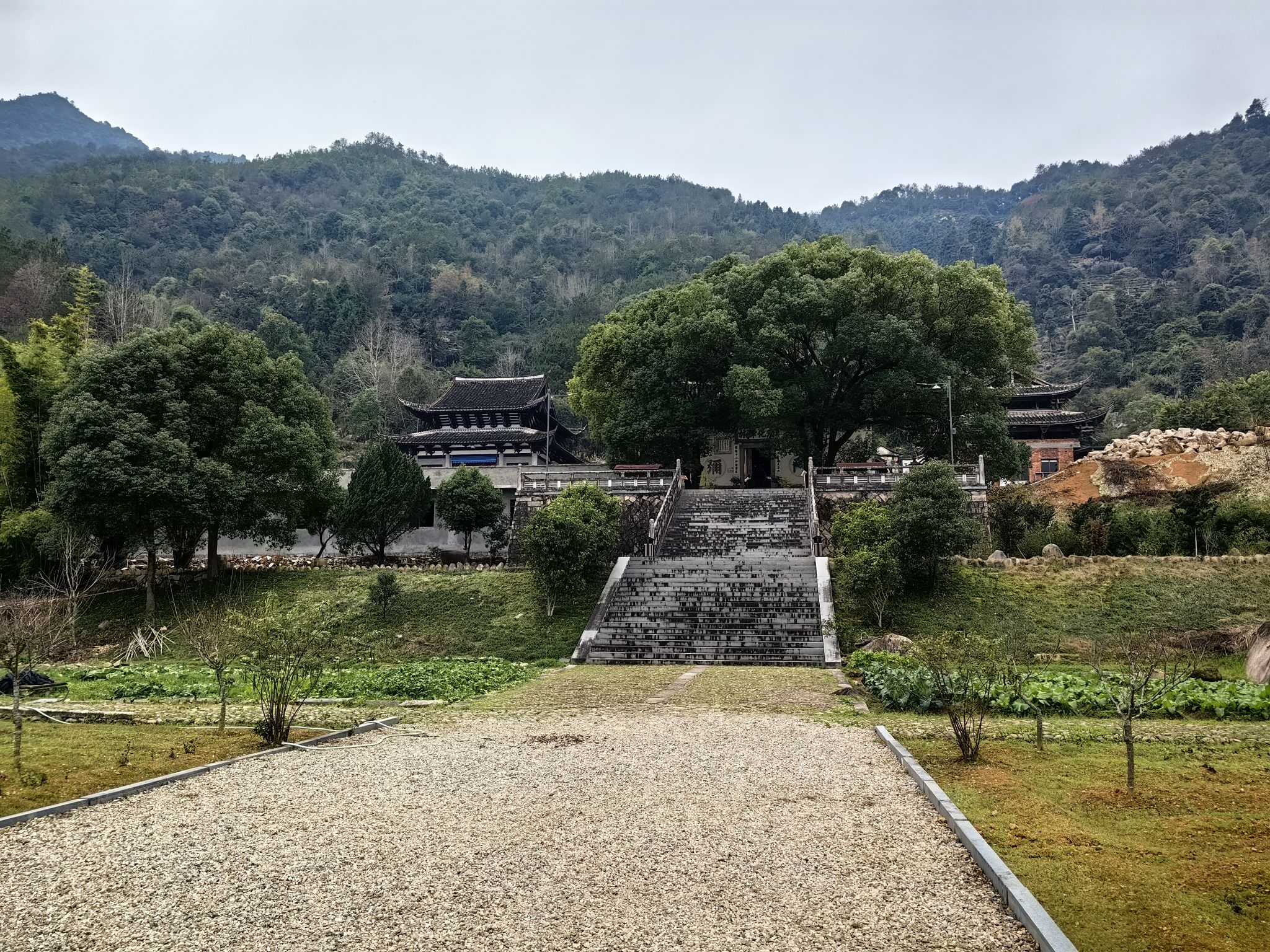 狮峰寺旅行图片 3