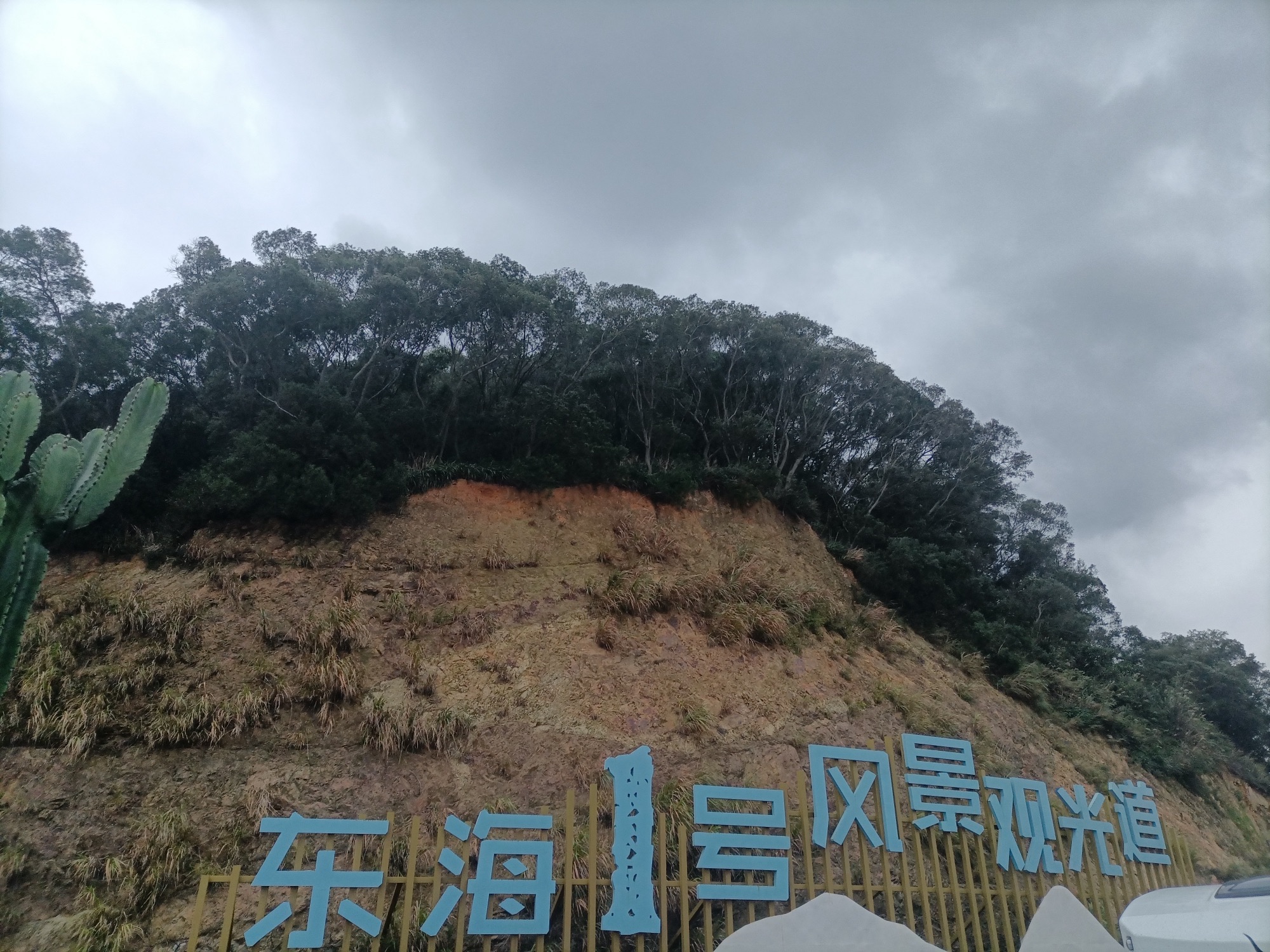 高罗海滩旅行图片 3