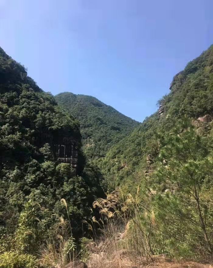 九龙井景区旅行图片 1