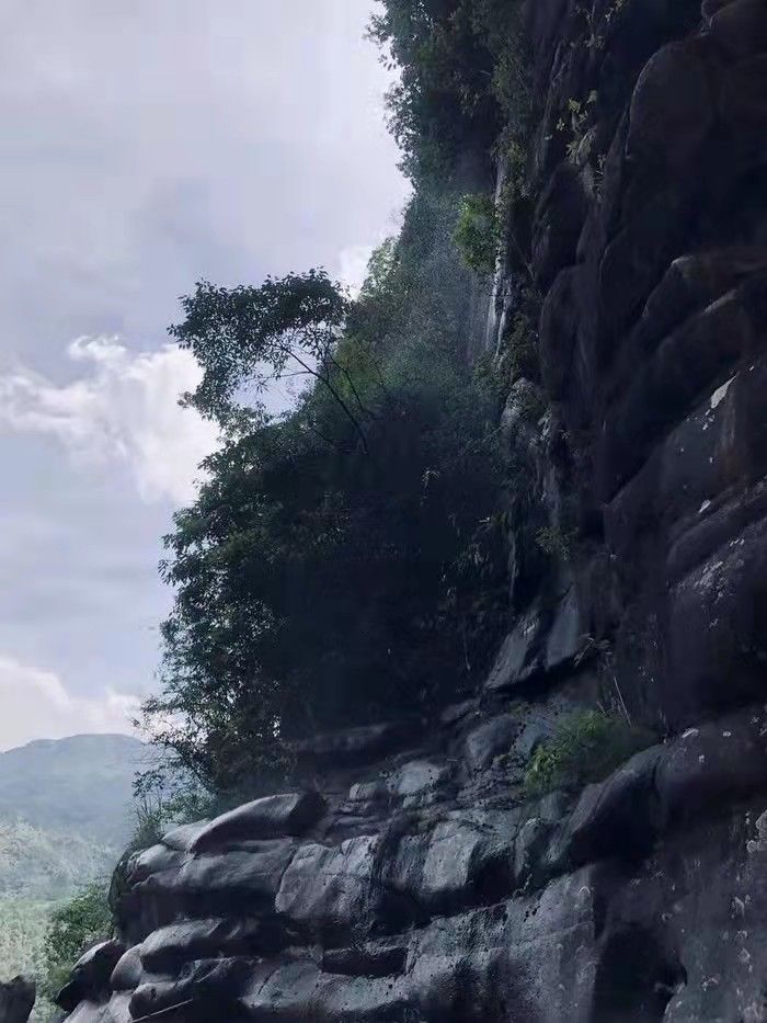 九龙井景区旅行图片 3