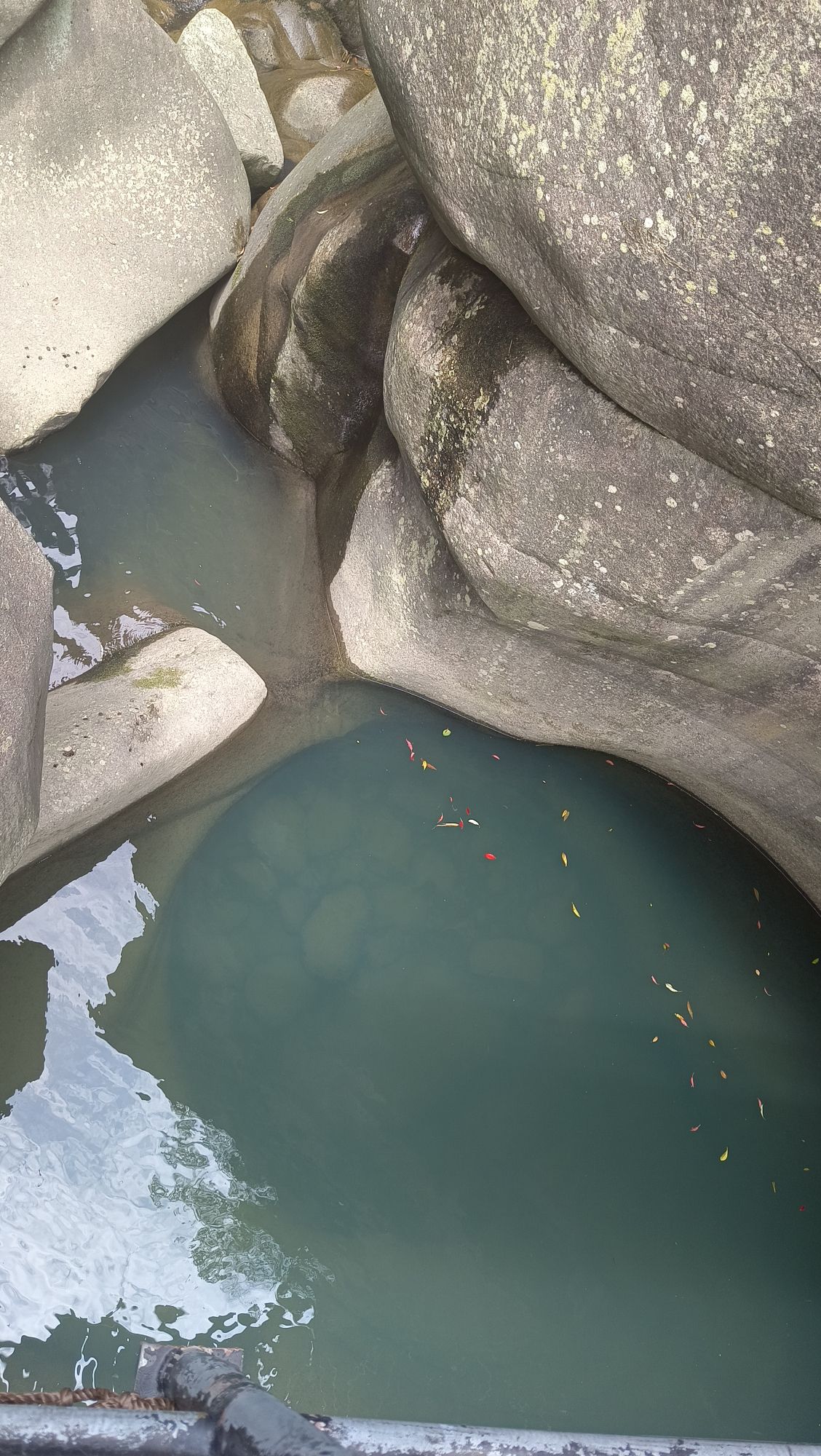 九龙井景区旅行图片 3