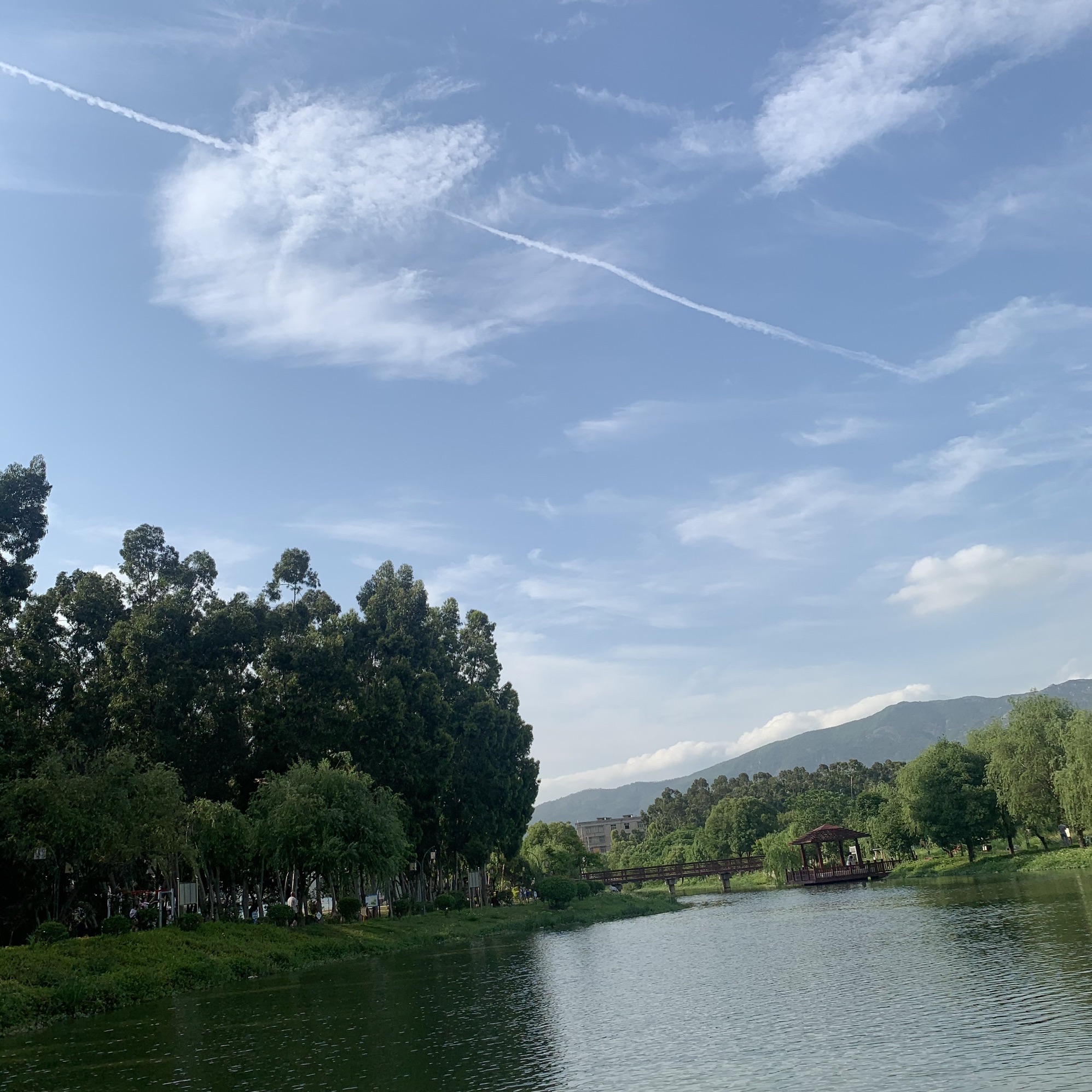 人民公园旅行图片 2