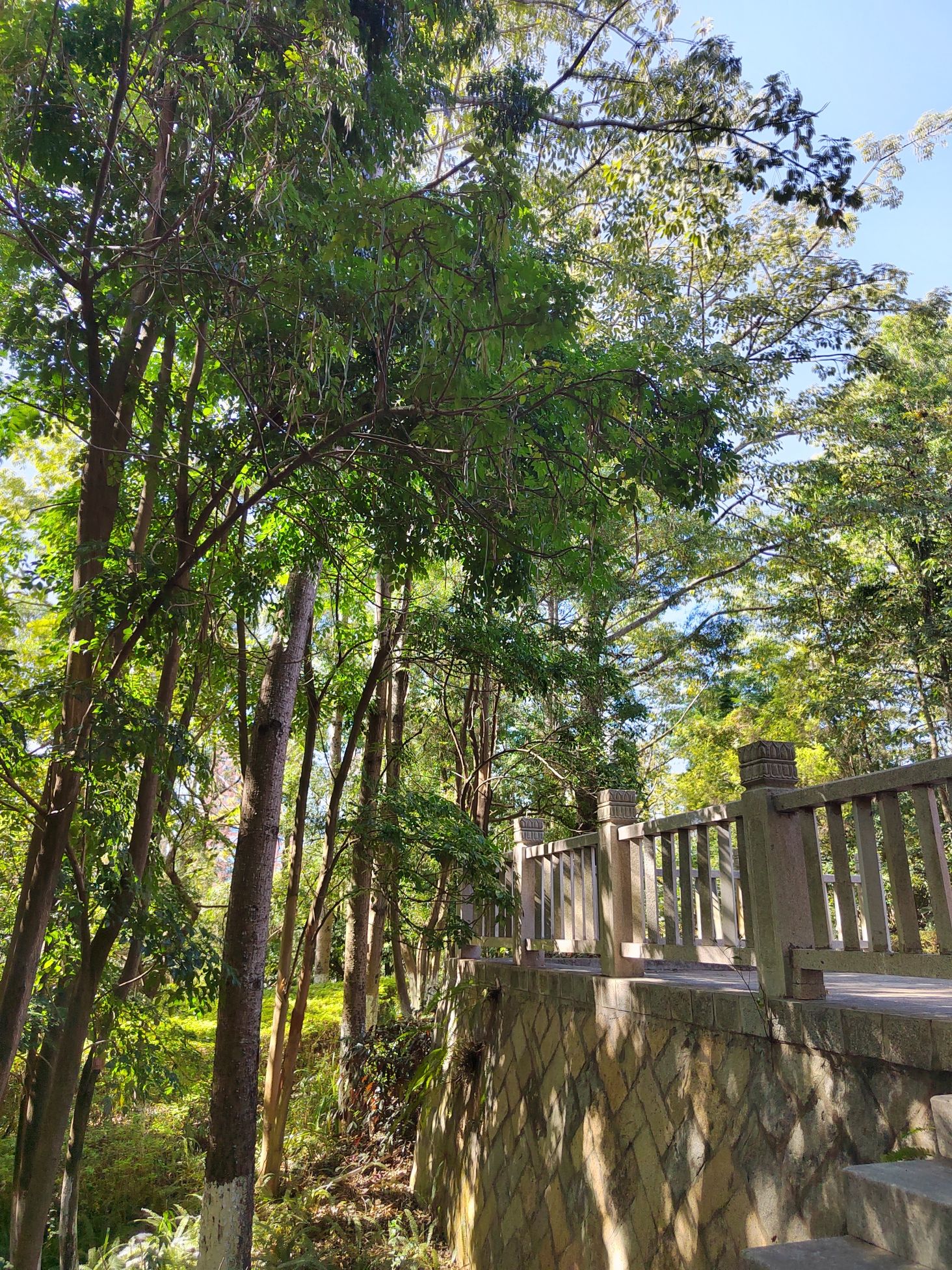 东岩山公园旅行图片 2