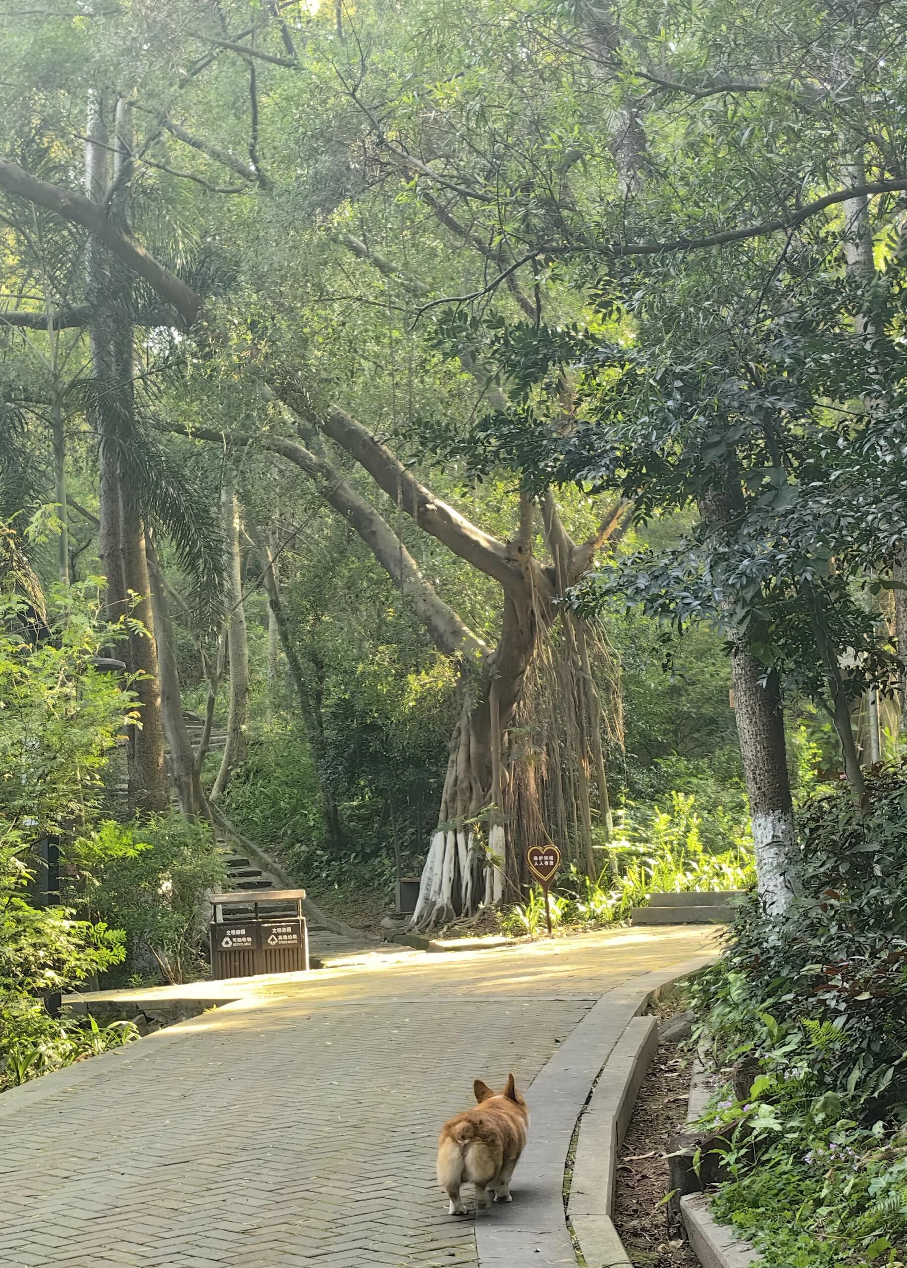 东岩山公园旅行图片 2