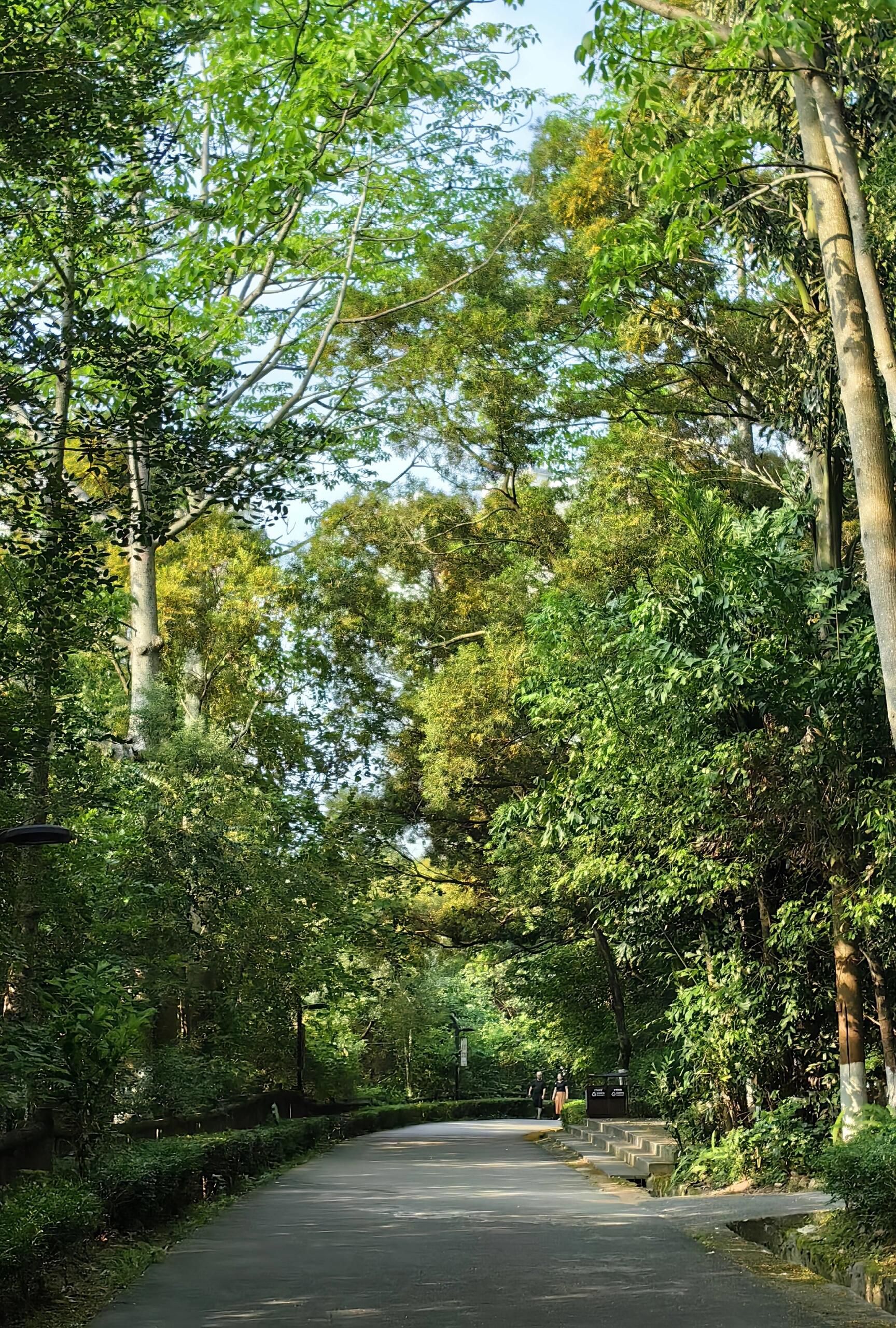 东岩山公园旅行图片 3