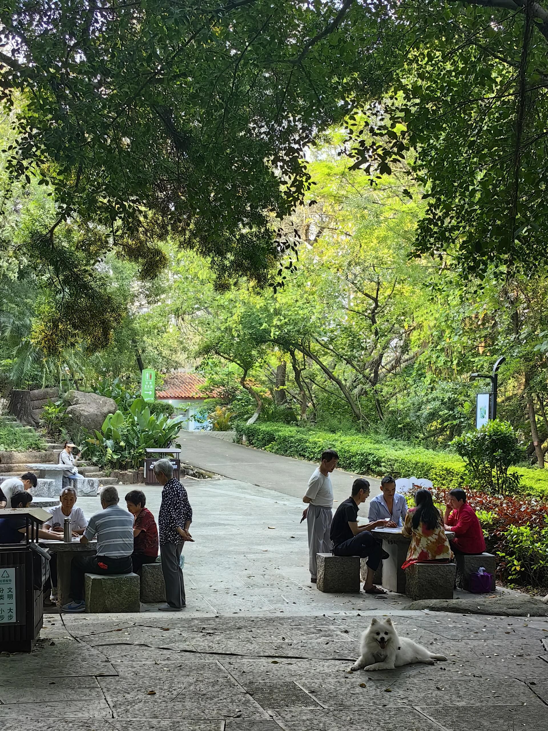 东岩山公园旅行图片 1
