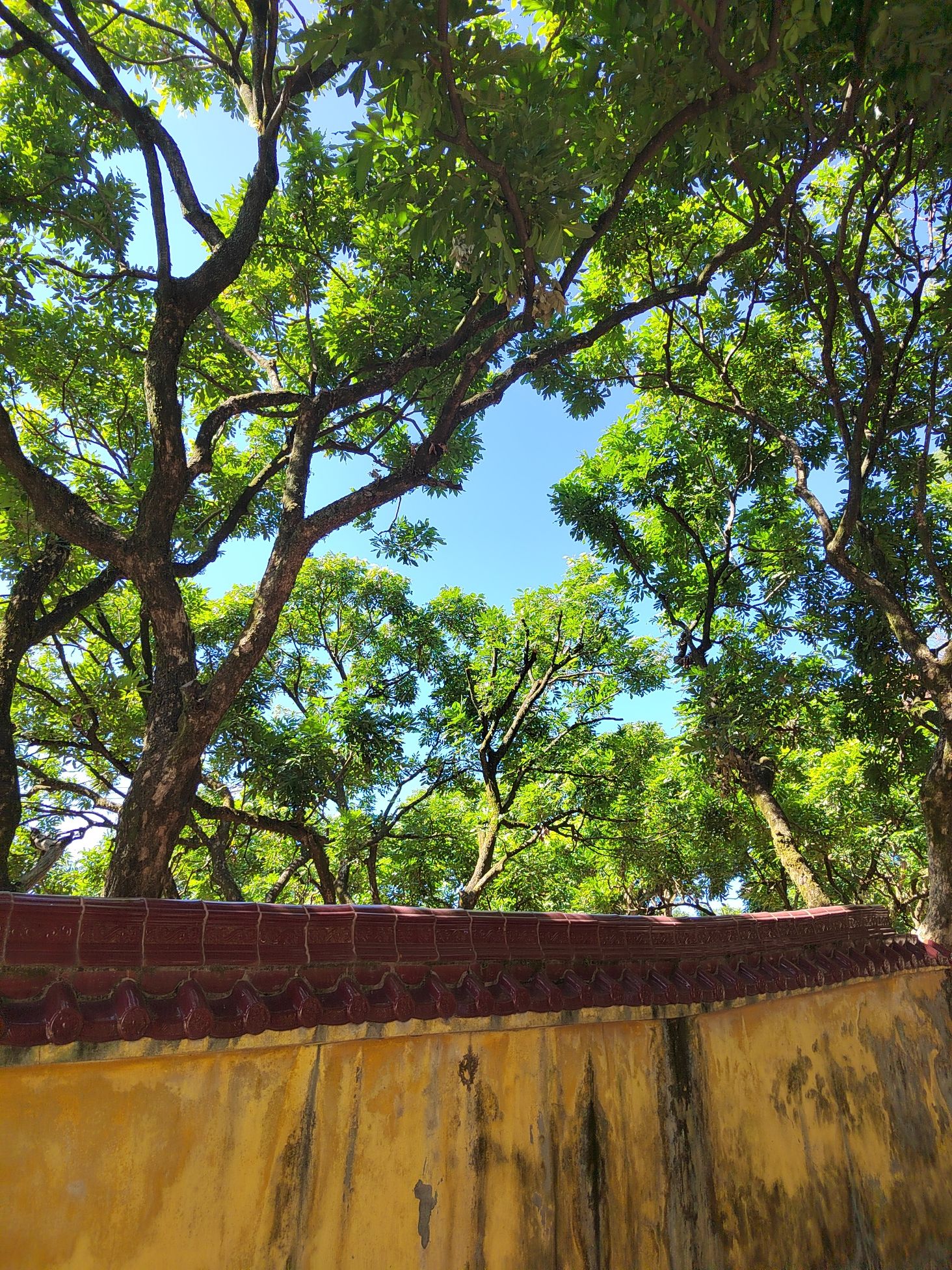 东岩山公园旅行图片 3