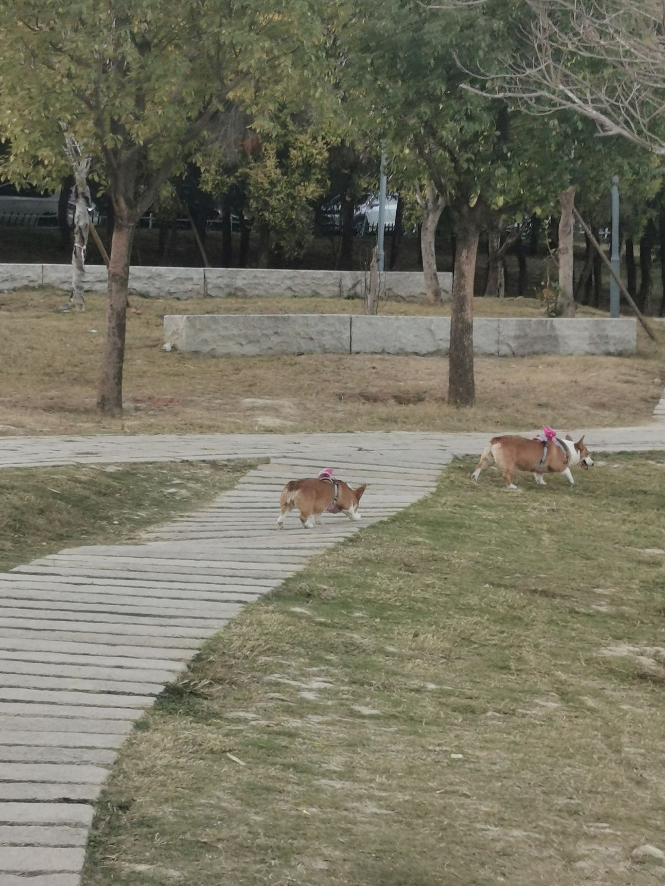 木兰陂公园旅行图片 2