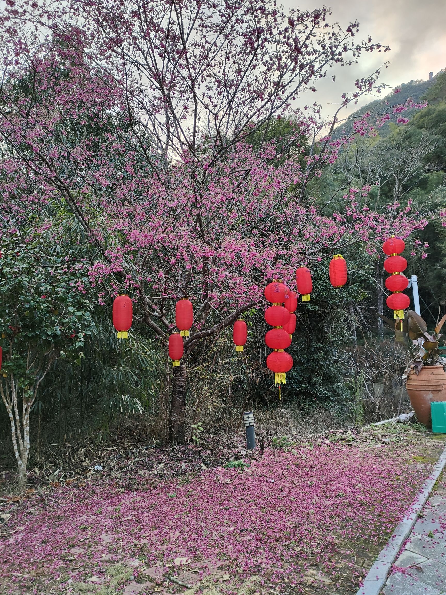 菜溪岩风景区旅行图片 1