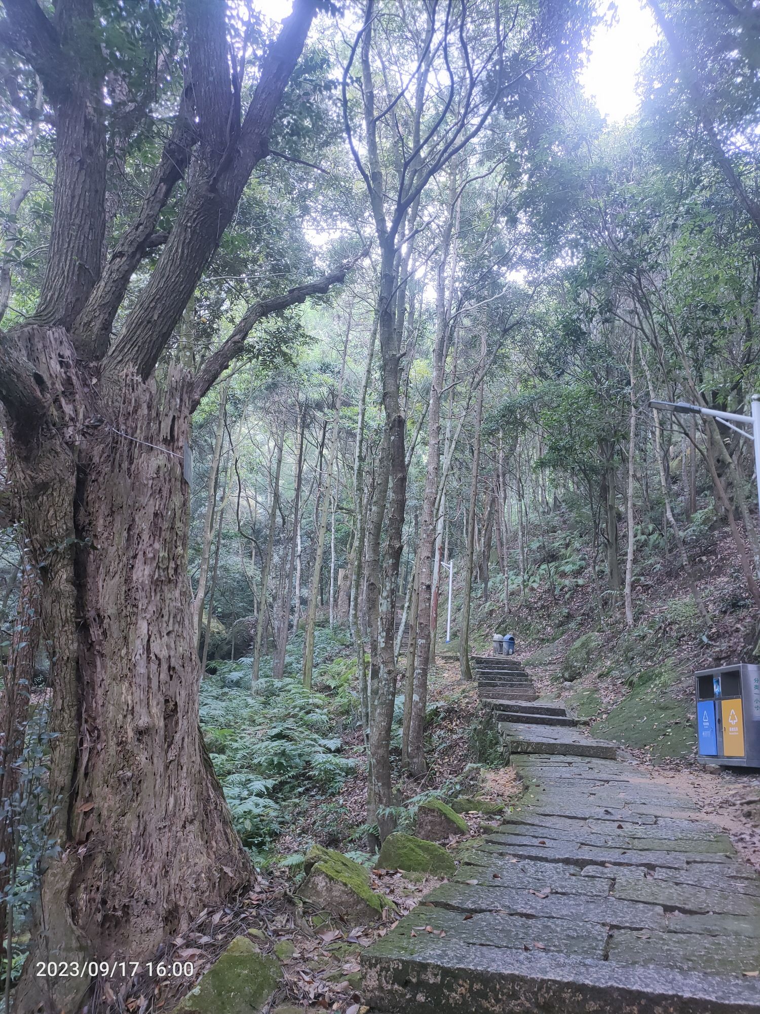 麦斜岩旅行图片 3