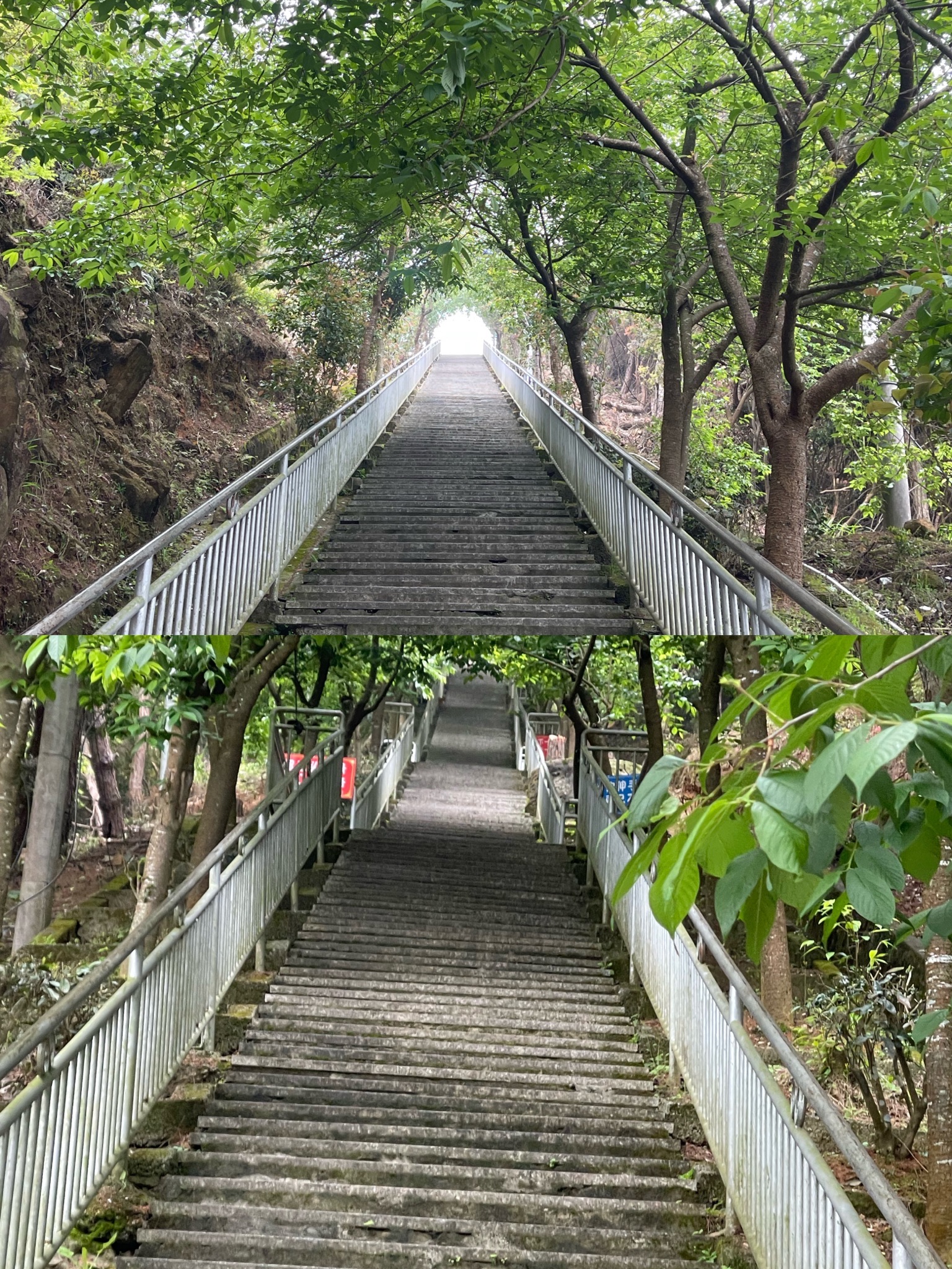 九华叠翠旅行图片 2