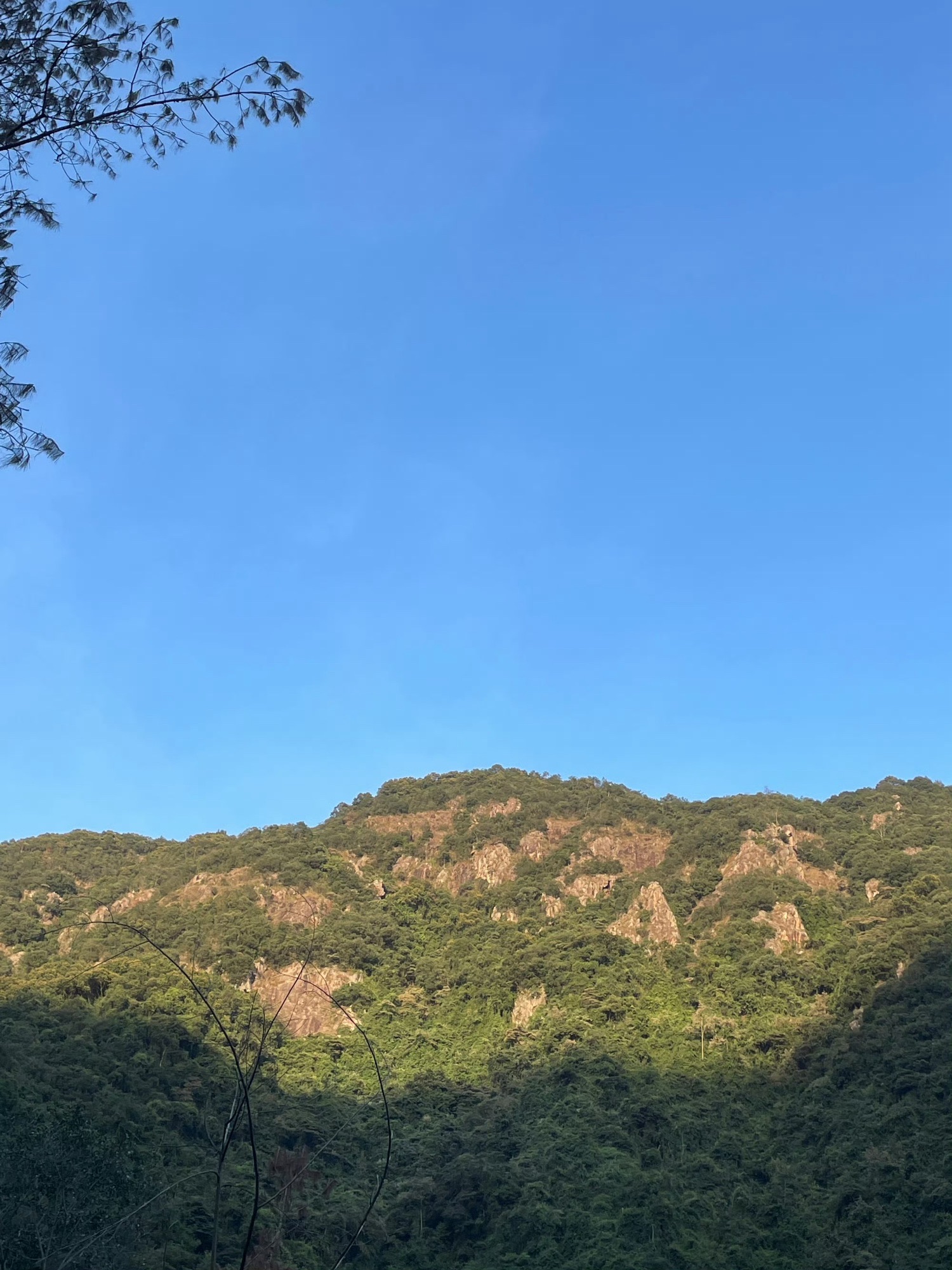 九龙谷国家森林公园旅行图片 3