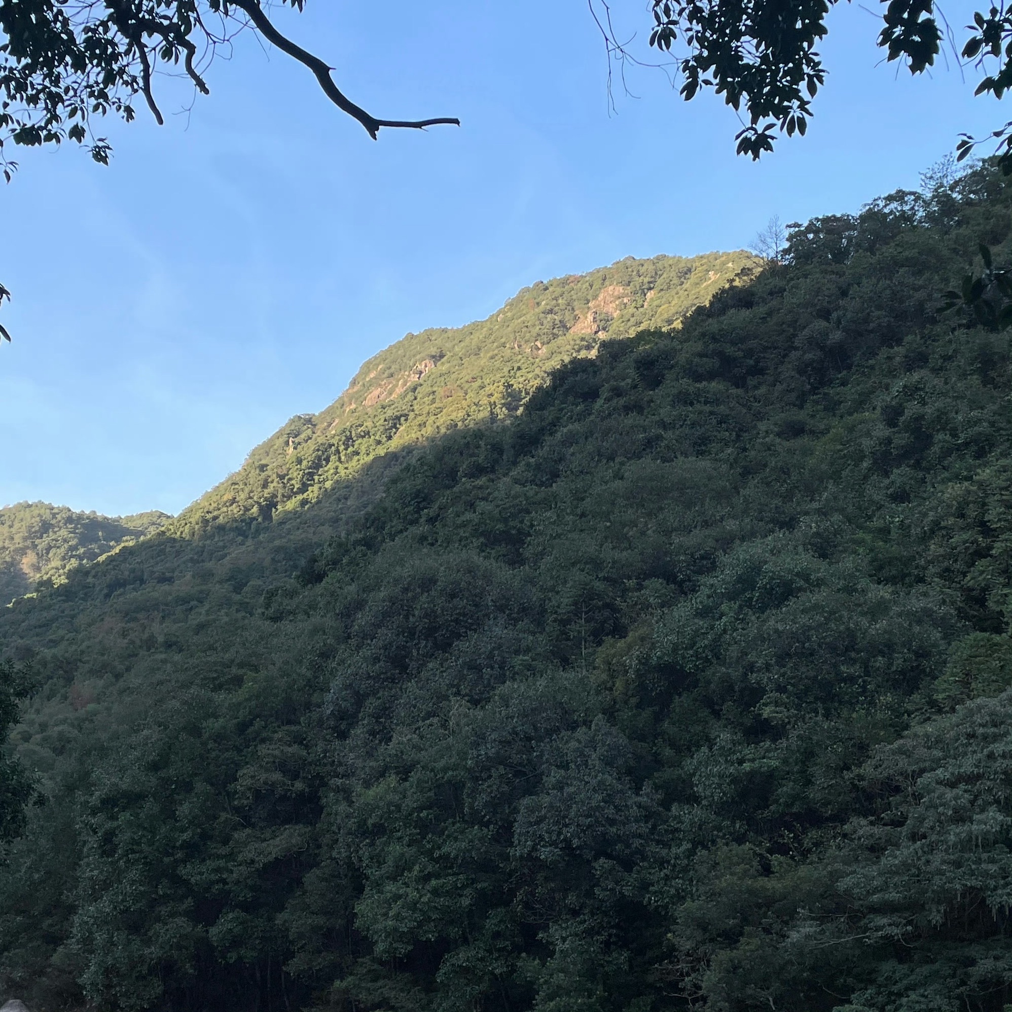 九龙谷国家森林公园旅行图片 2