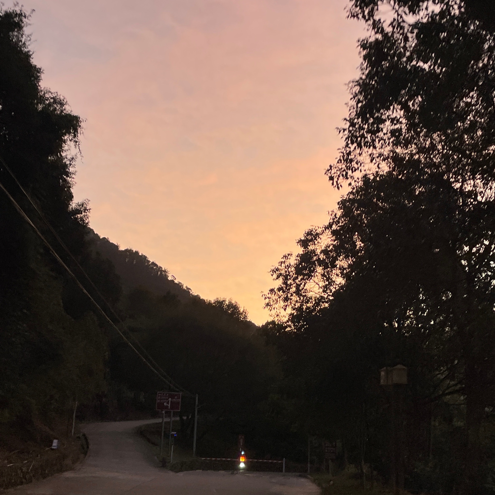 九龙谷国家森林公园旅行图片 3