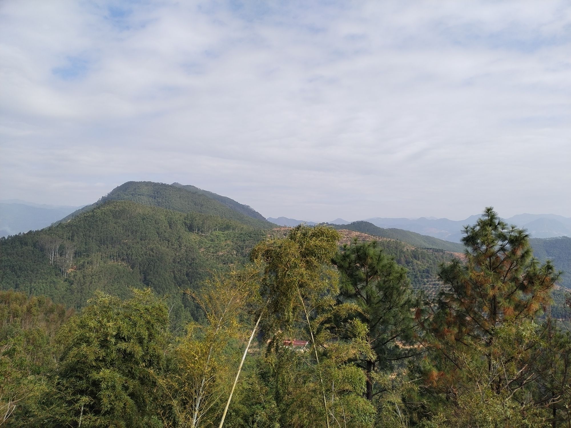 双桂岩旅行图片 3