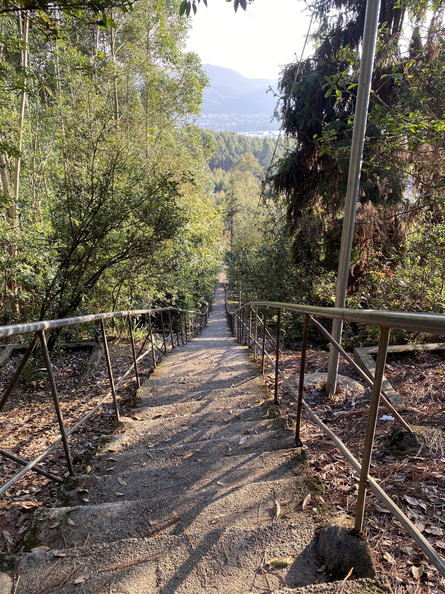 双桂岩旅行图片 1