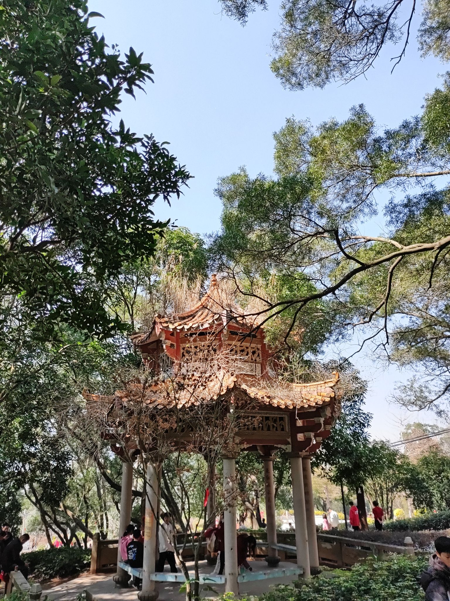 天中万寿塔旅行图片 2