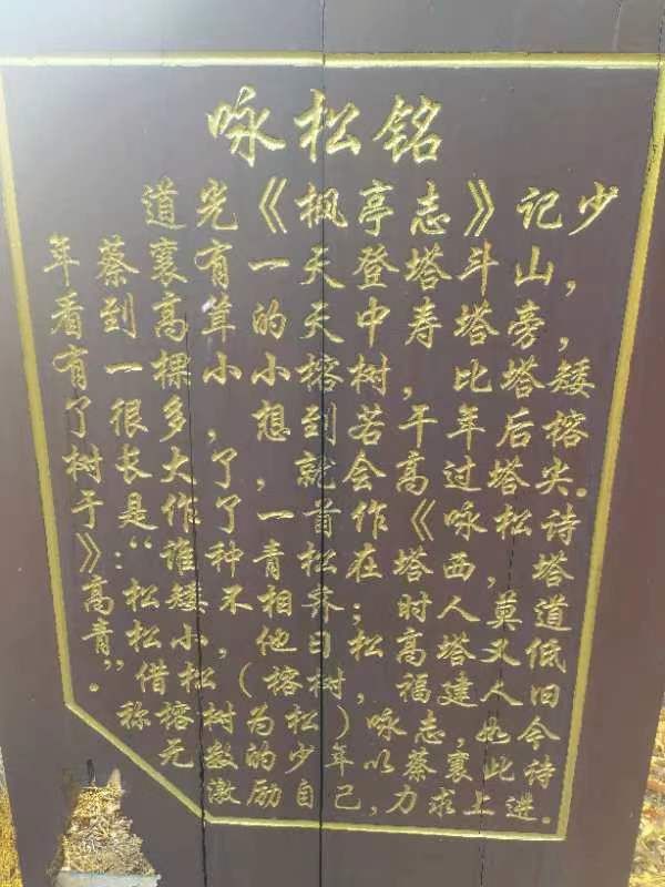 天中万寿塔旅行图片 3