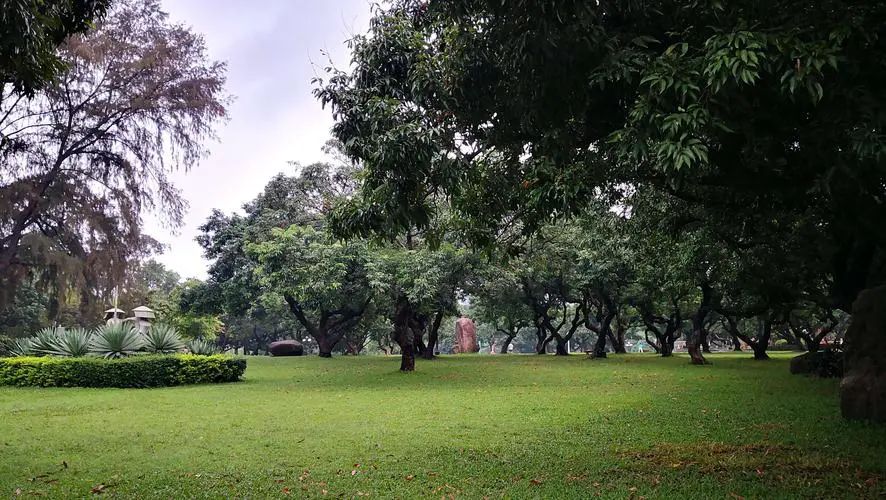 南门荔枝公园旅行图片 1